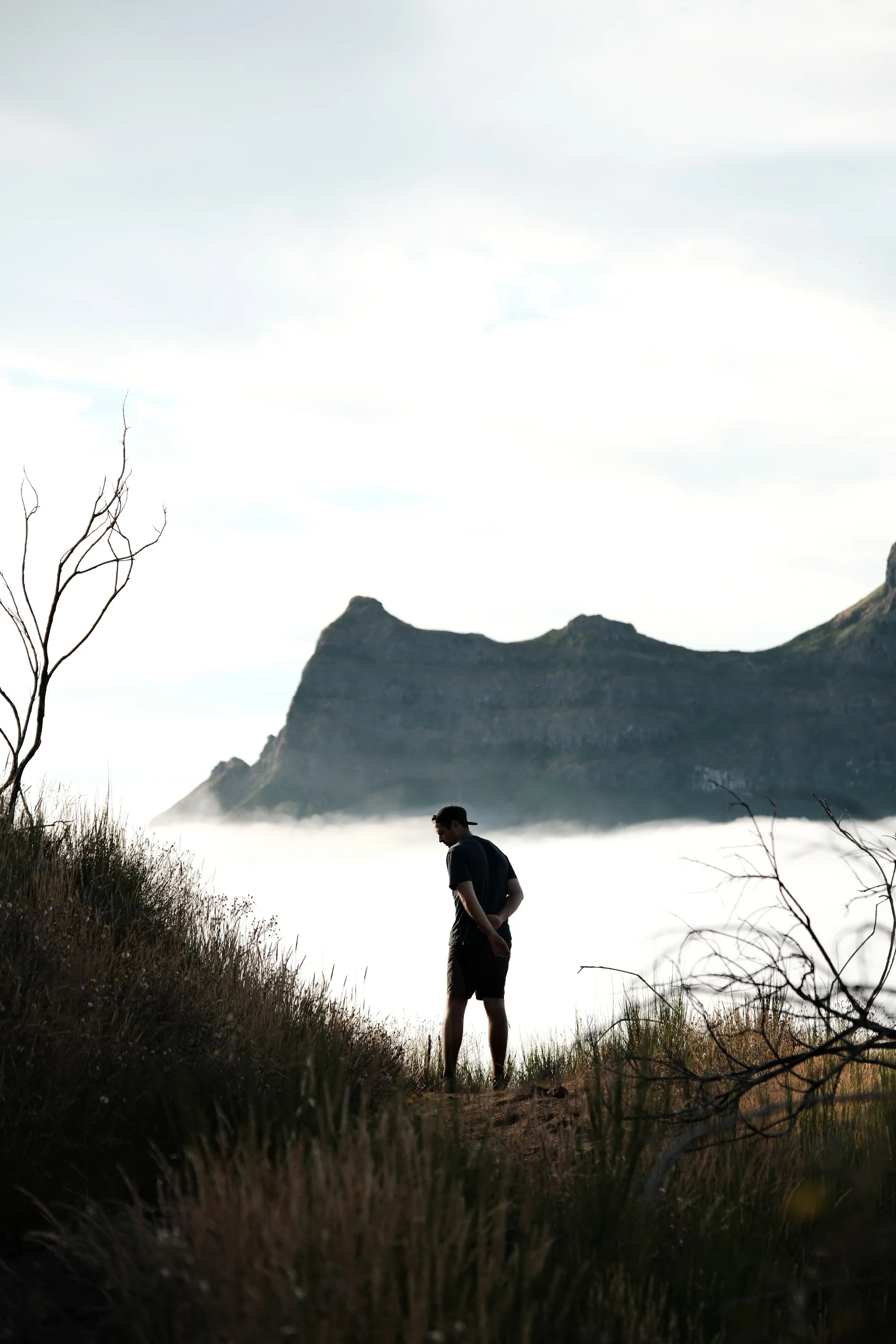madeira-2026, frame 48