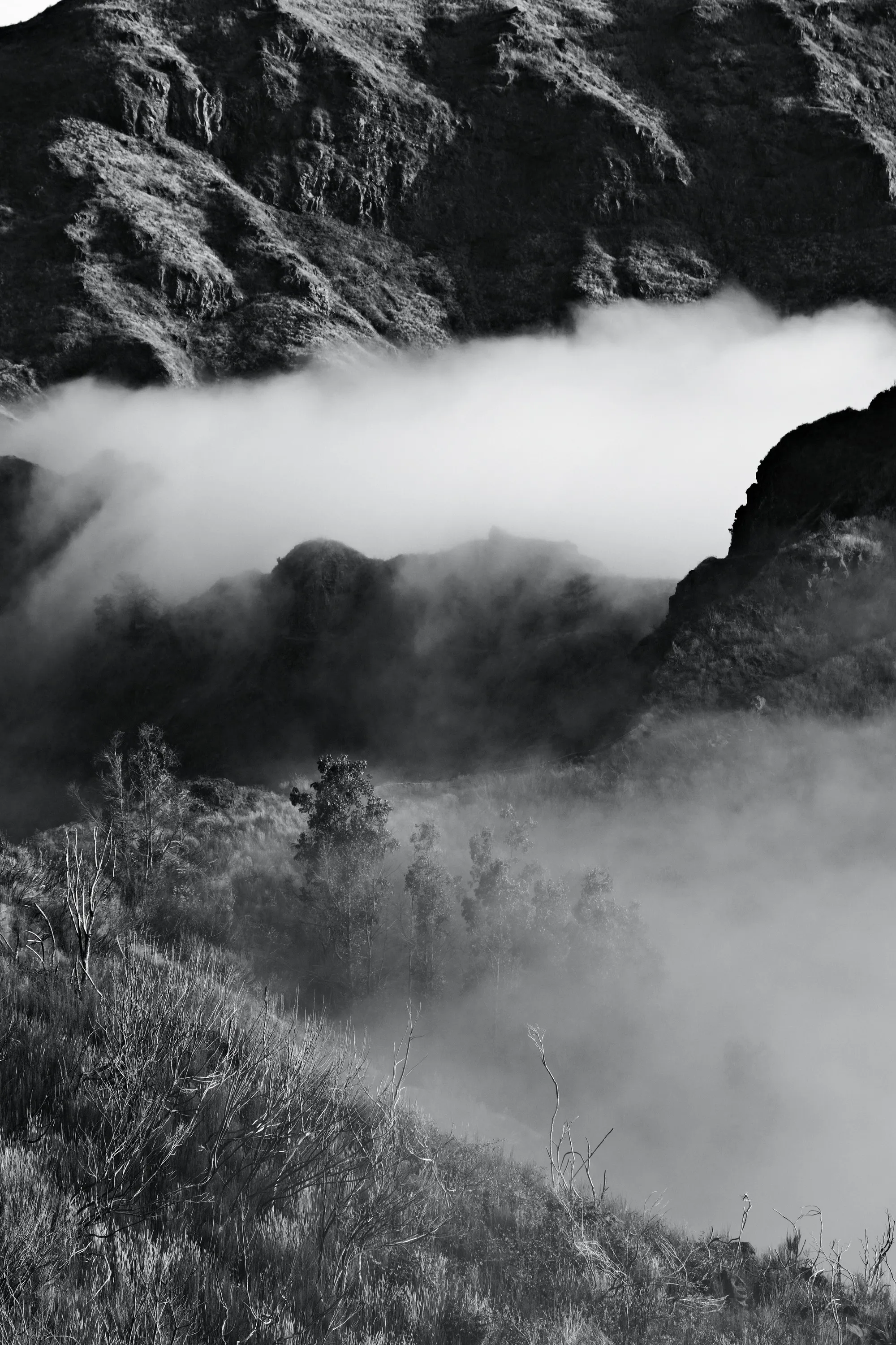 madeira-2026, frame 43