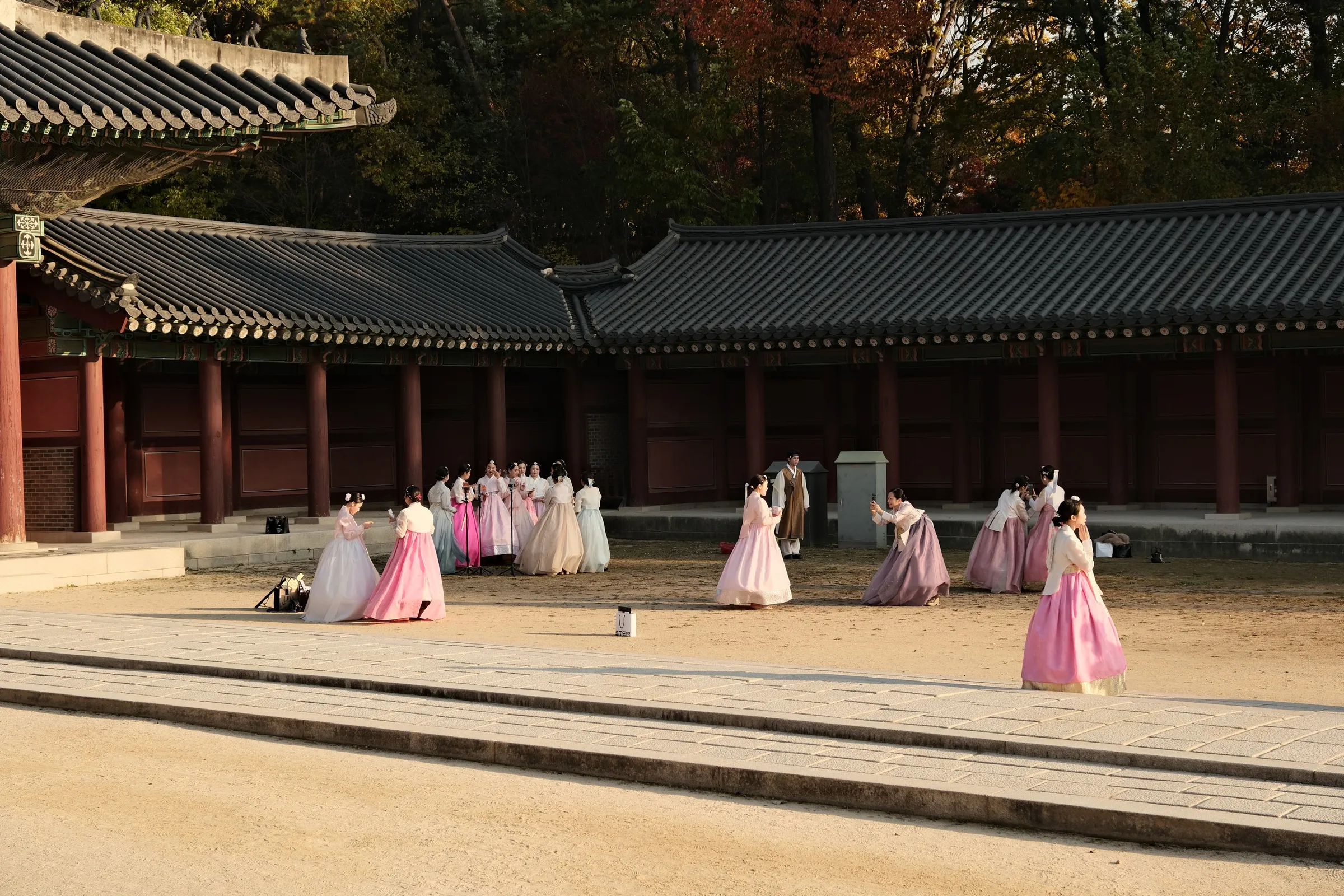 south-korea-2026, frame 14