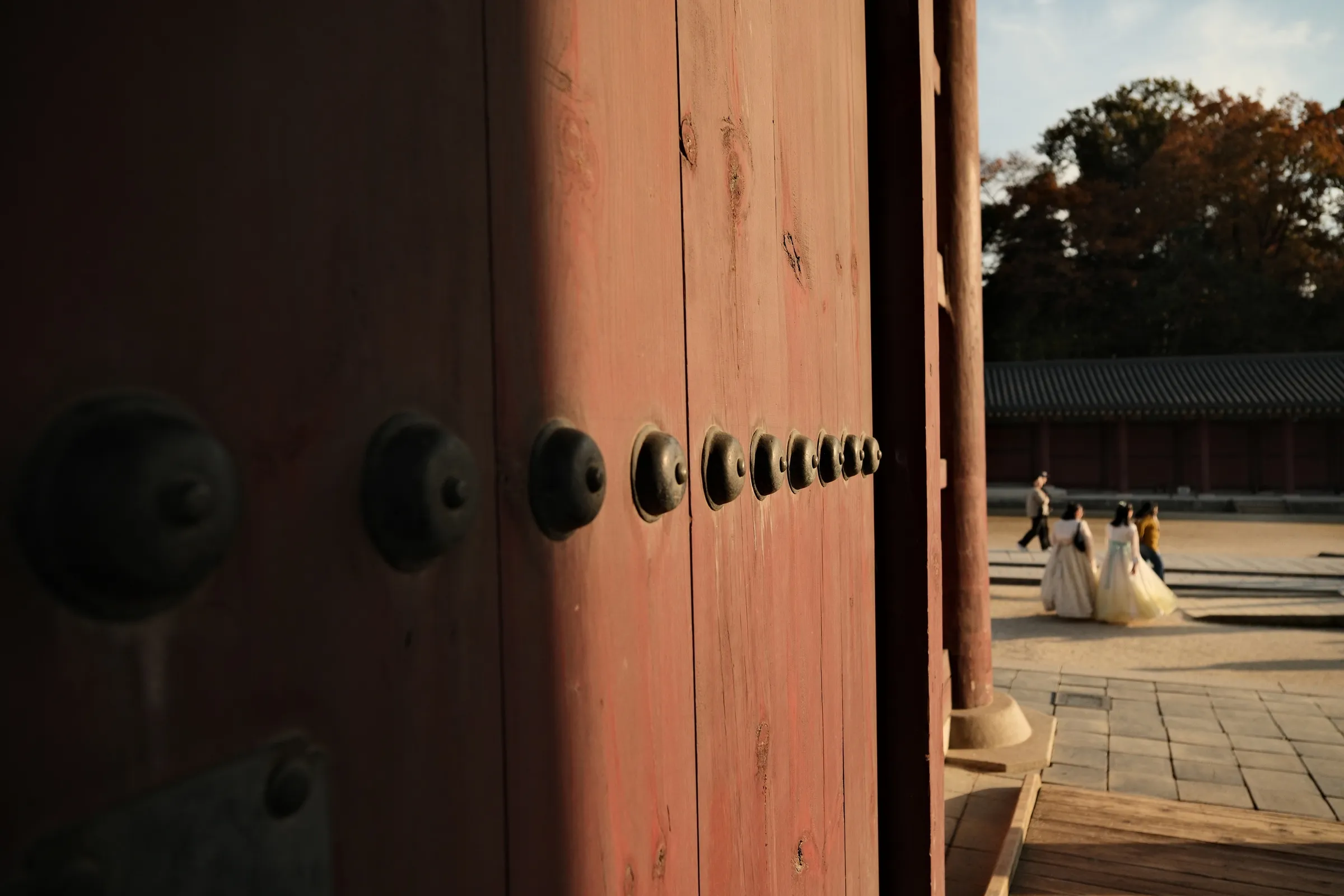 south-korea-2026, frame 15