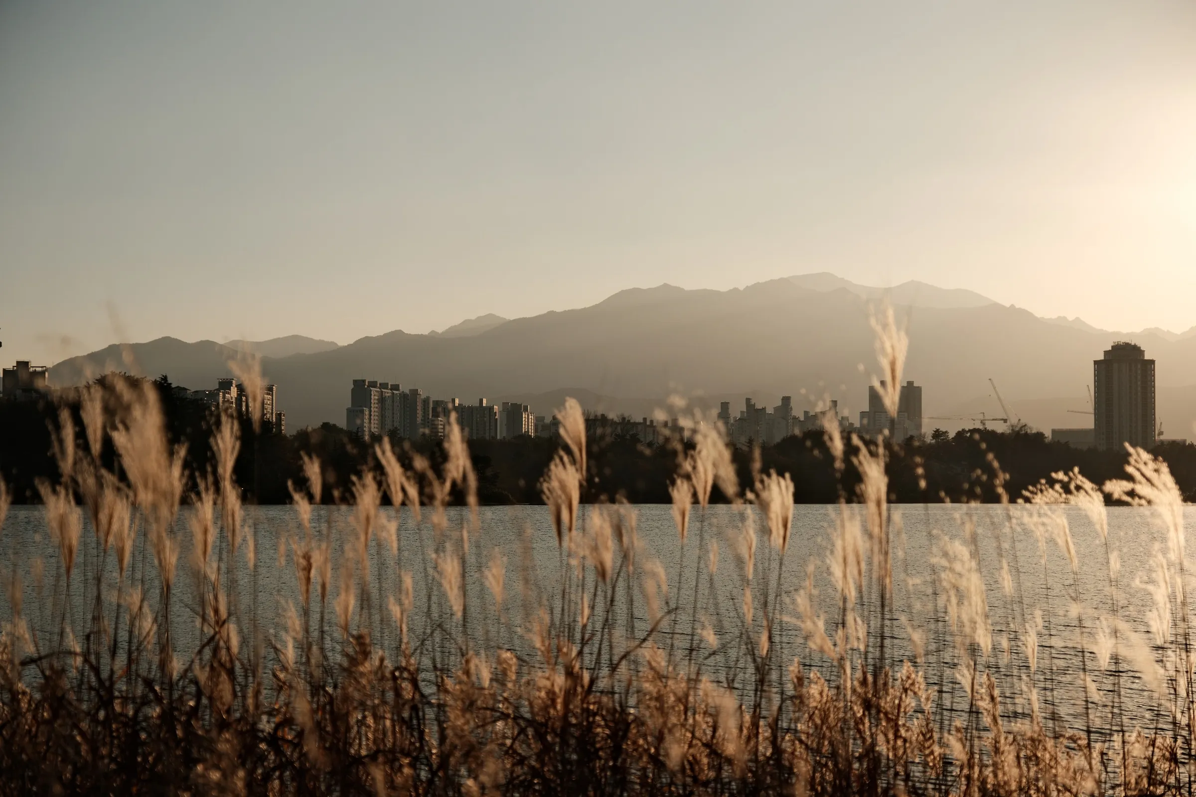 south-korea-2026, frame 47