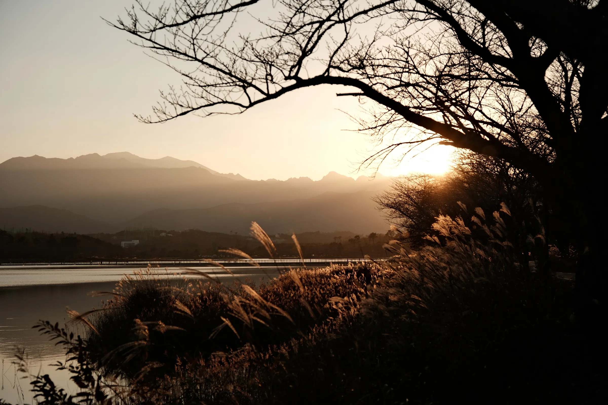 south-korea-2026, frame 49