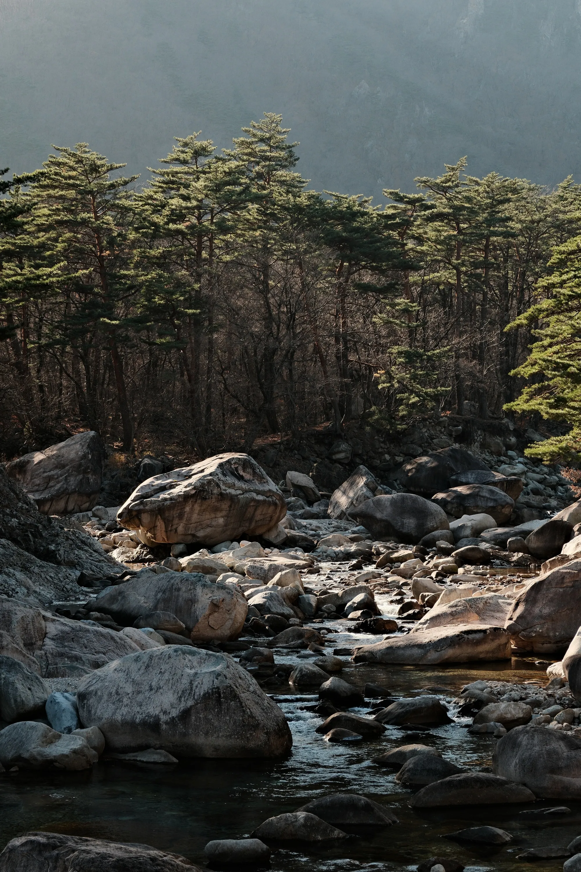 south-korea-2026, frame 51