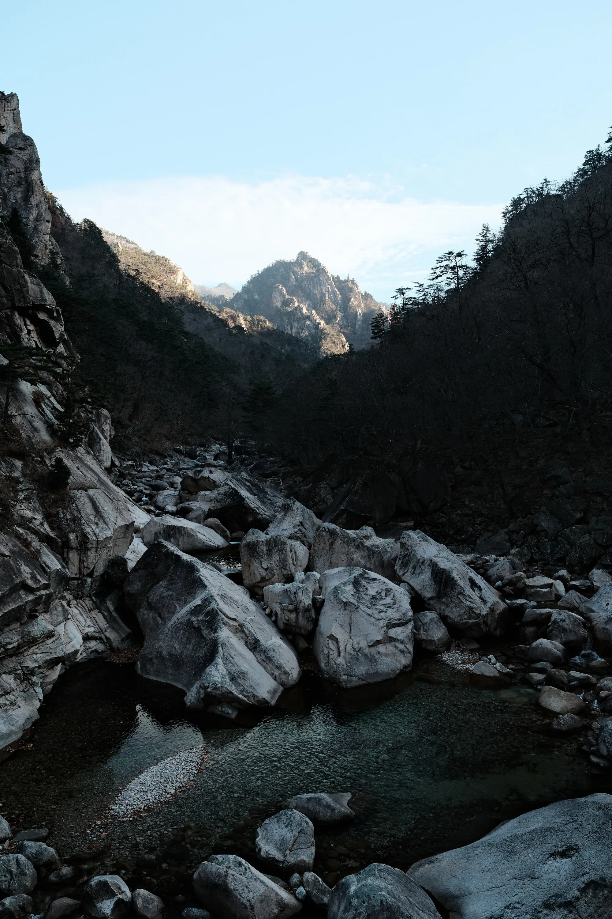 south-korea-2026, frame 50