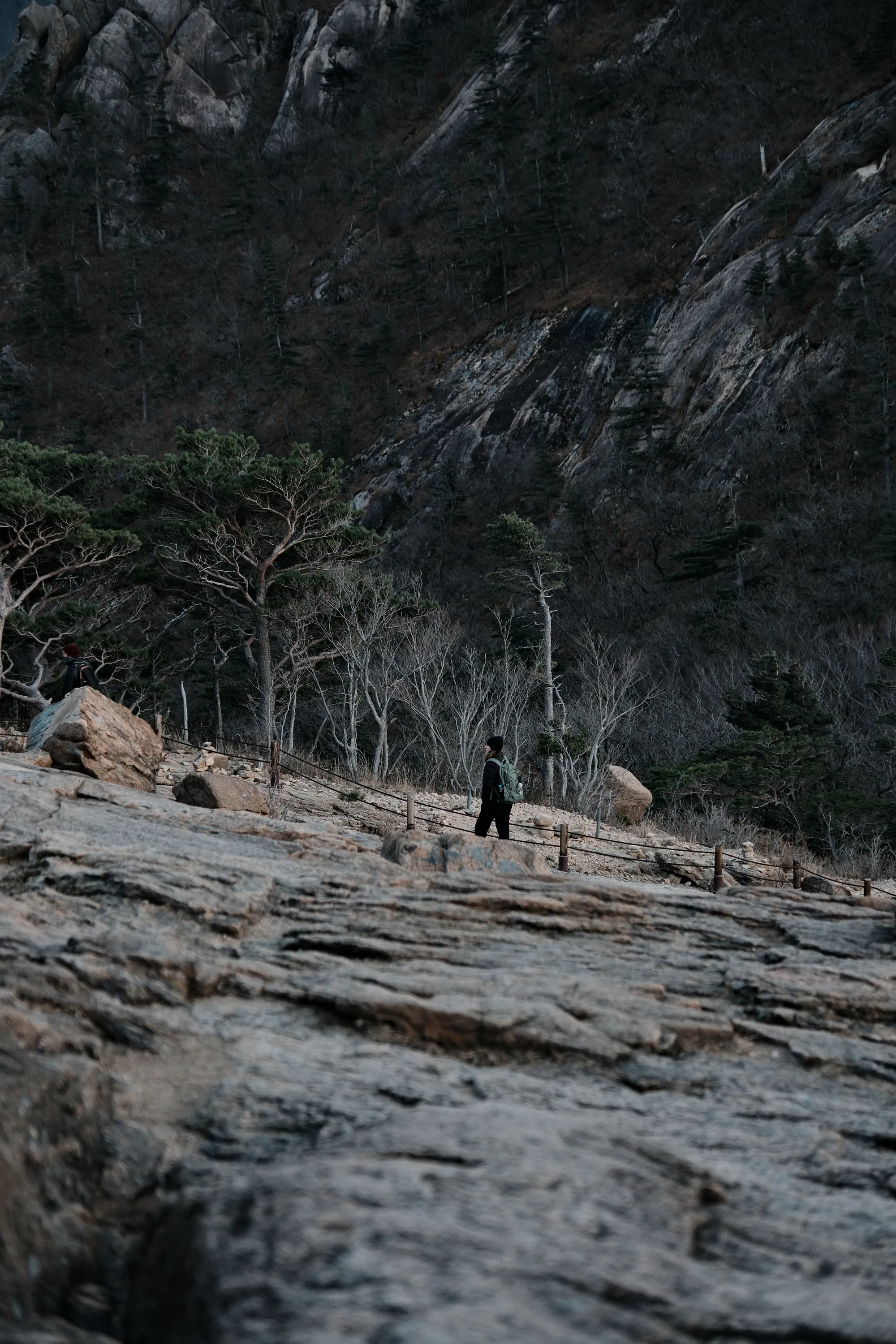 south-korea-2026, frame 65