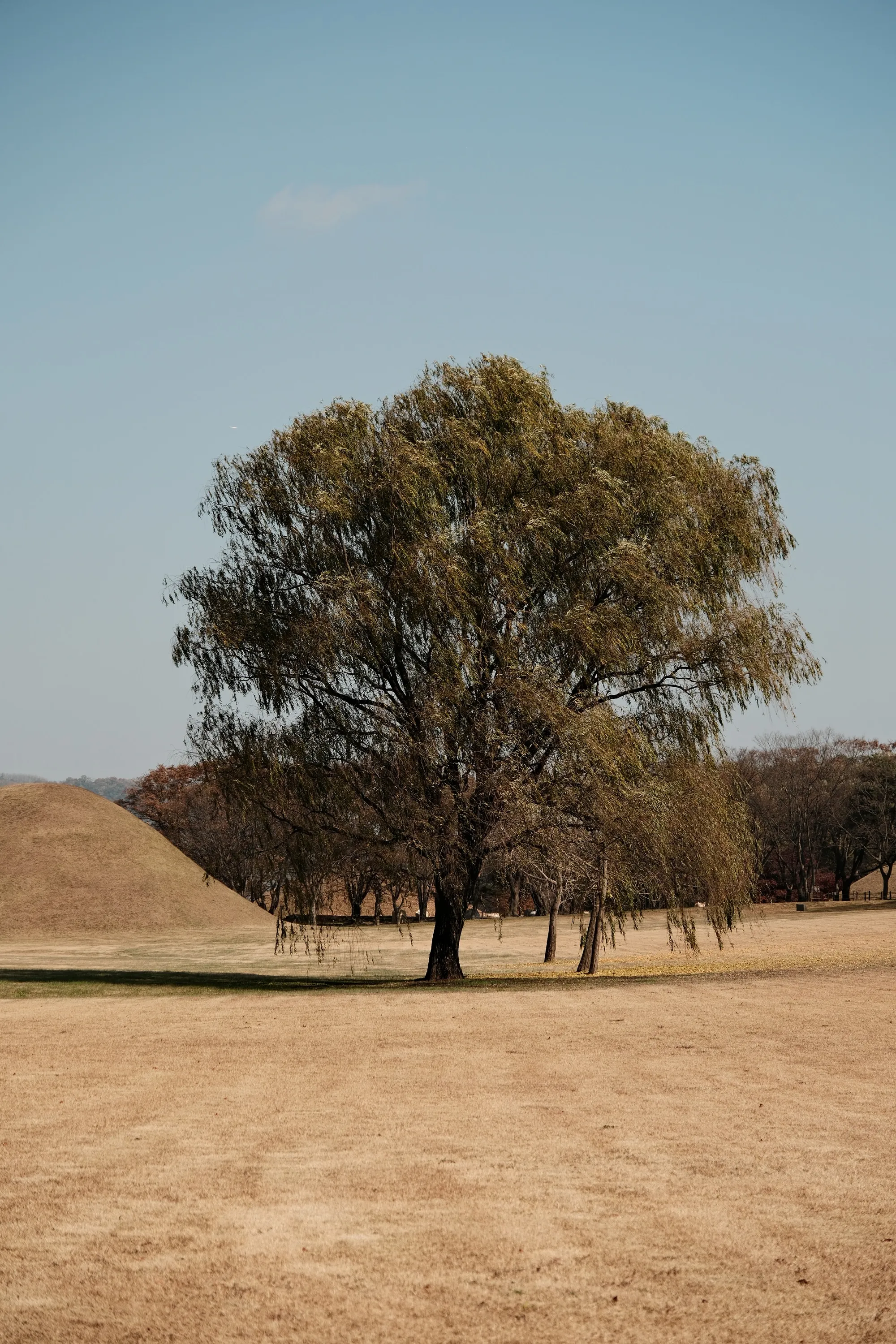 south-korea-2026, frame 173