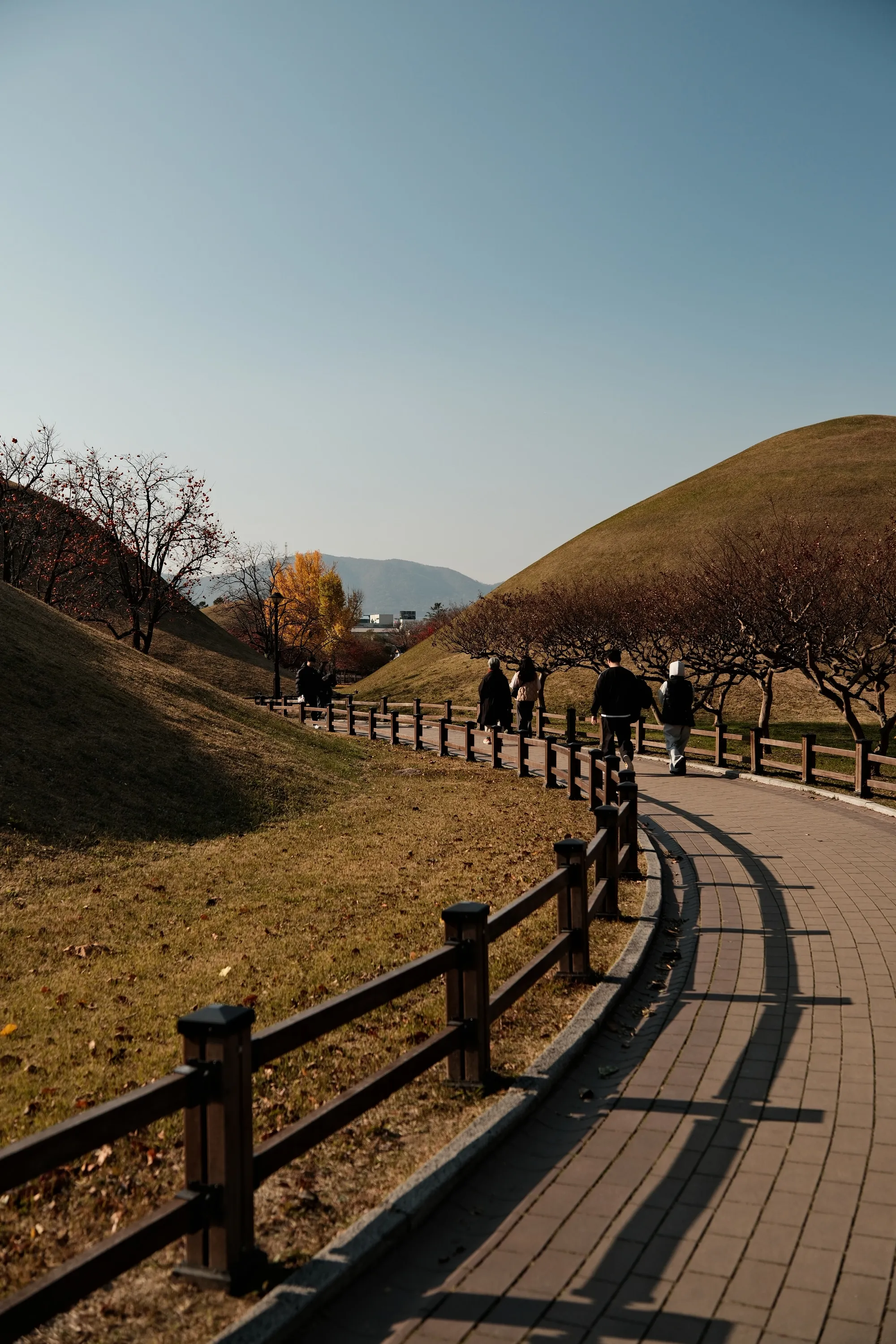south-korea-2026, frame 176