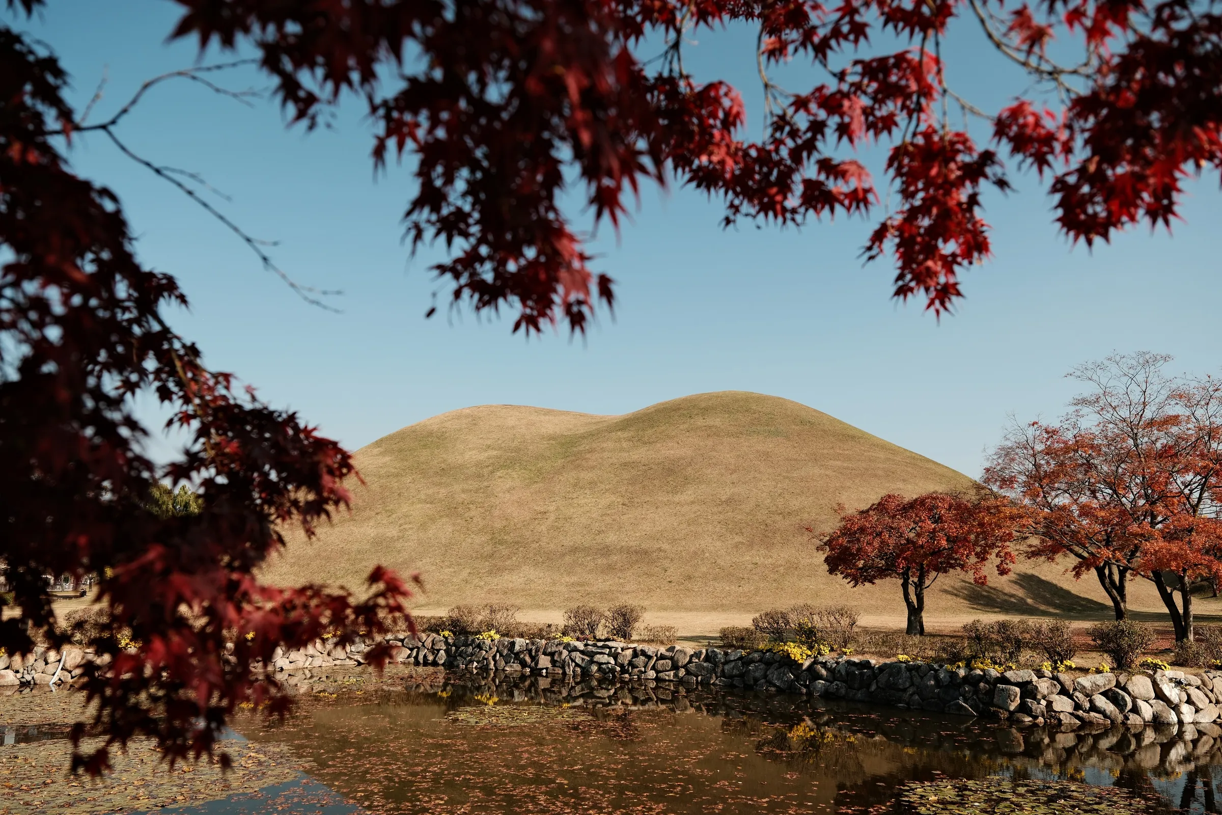 south-korea-2026, frame 177