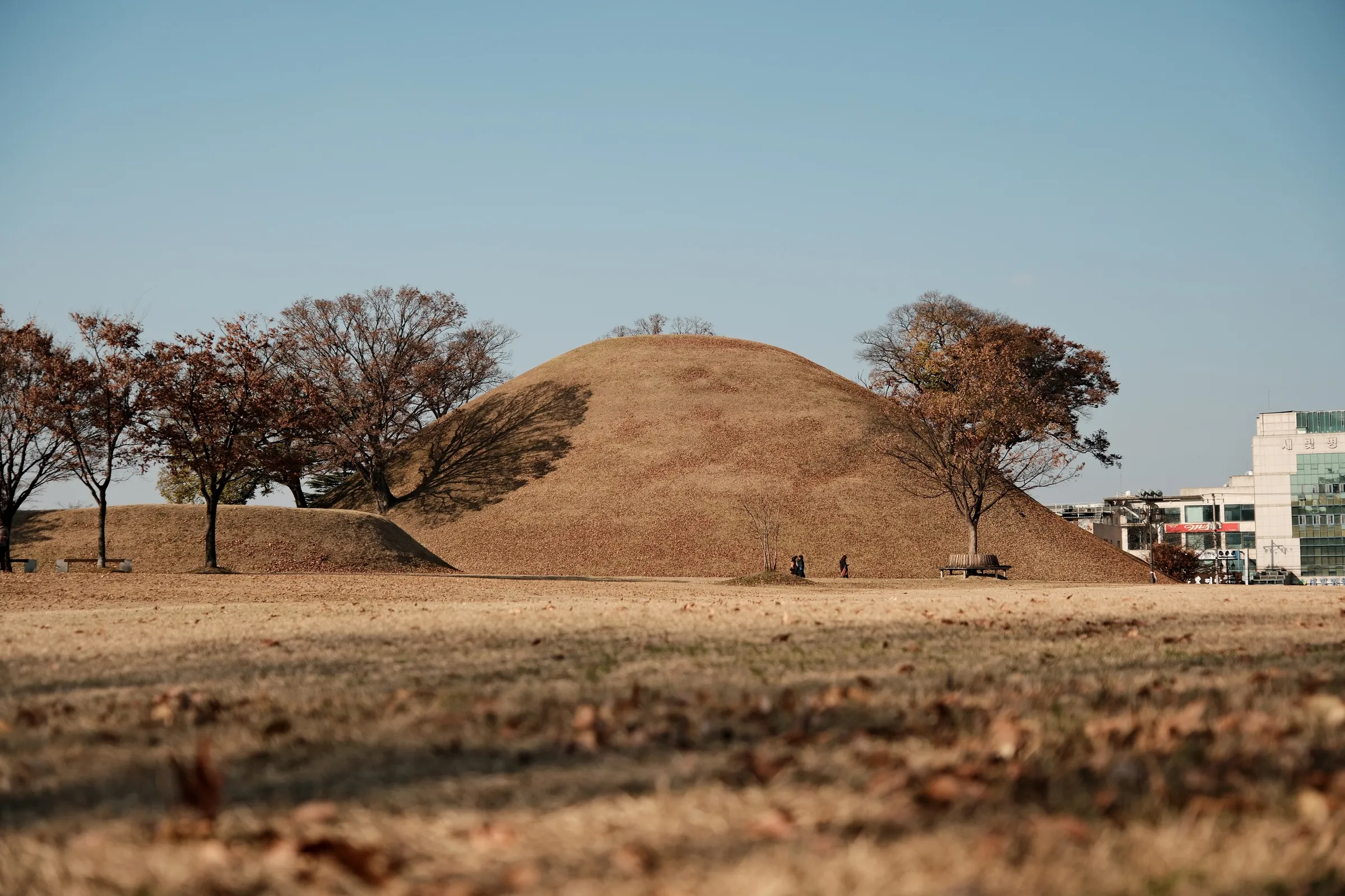 south-korea-2026, frame 178