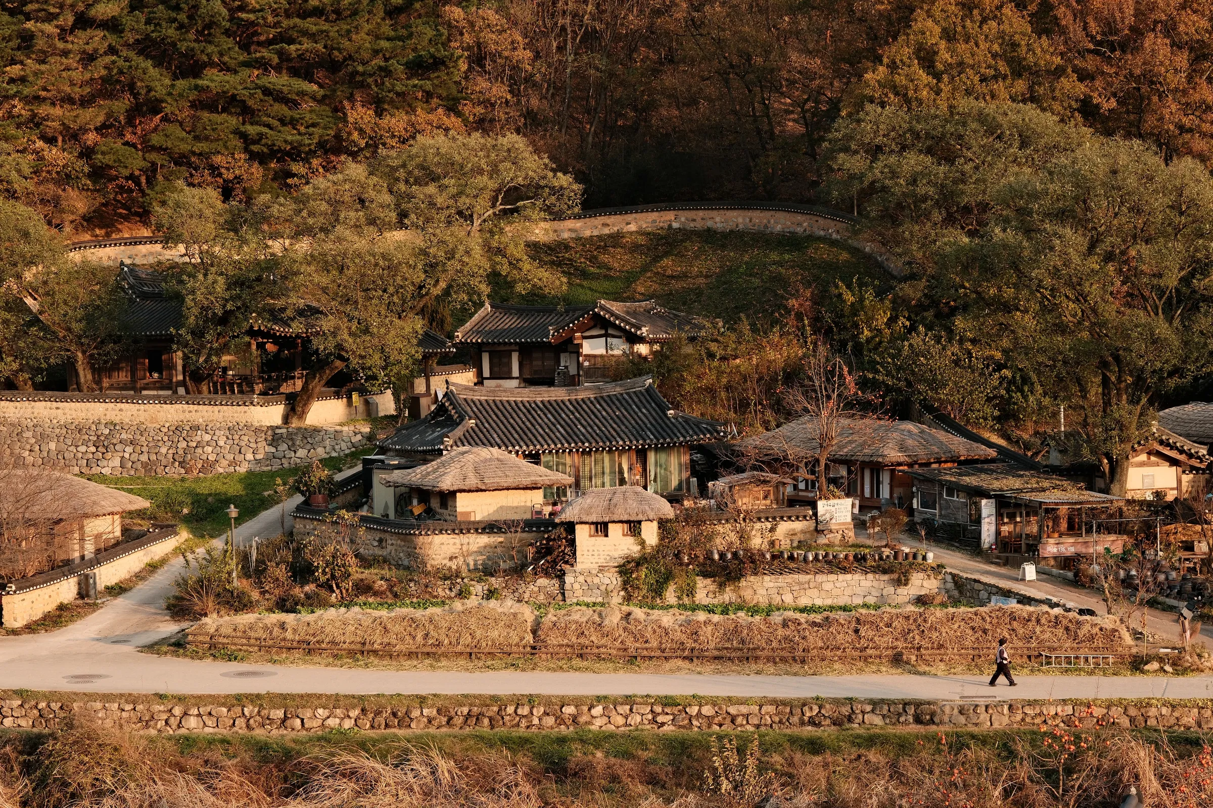 south-korea-2026, frame 187