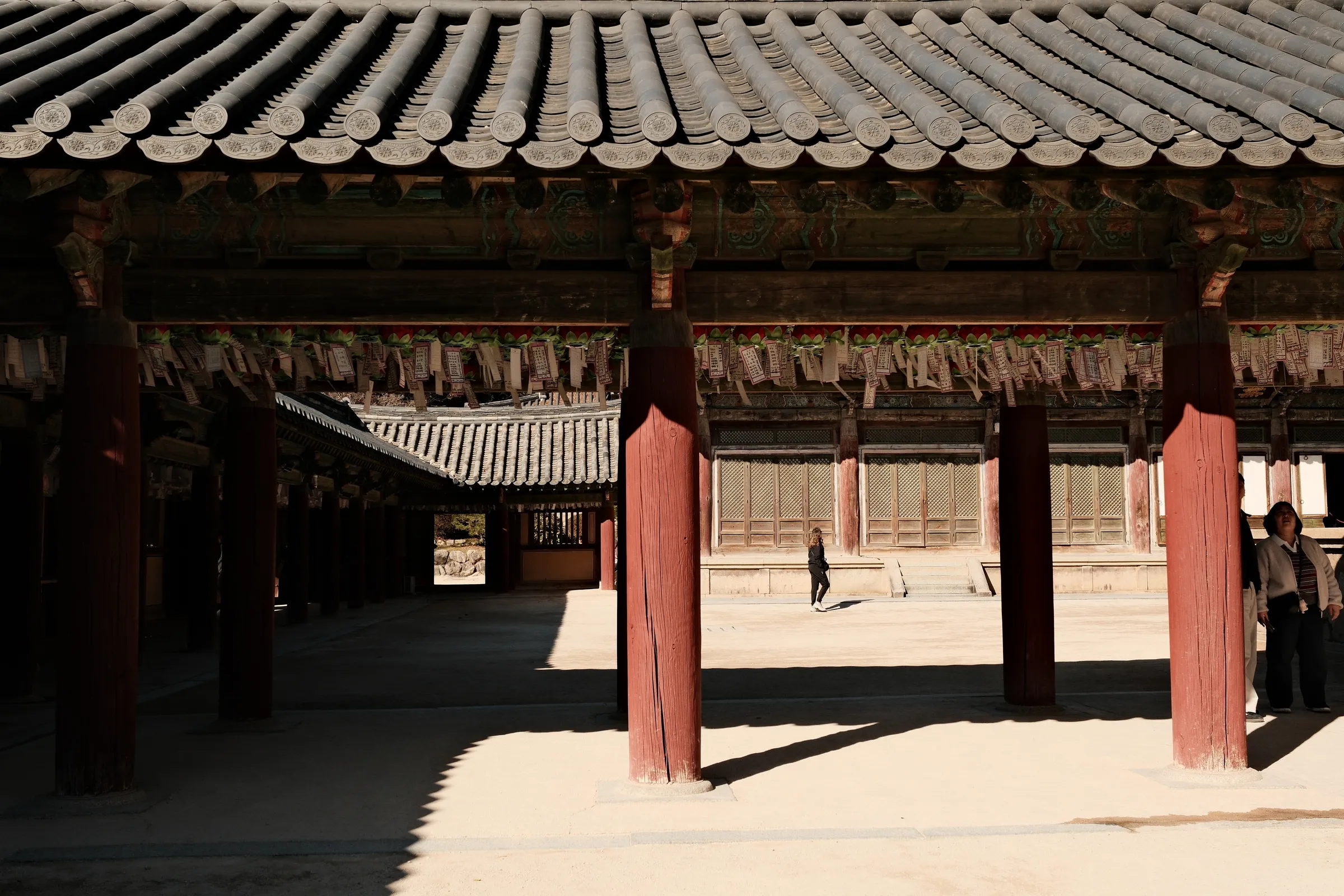 south-korea-2026, frame 189