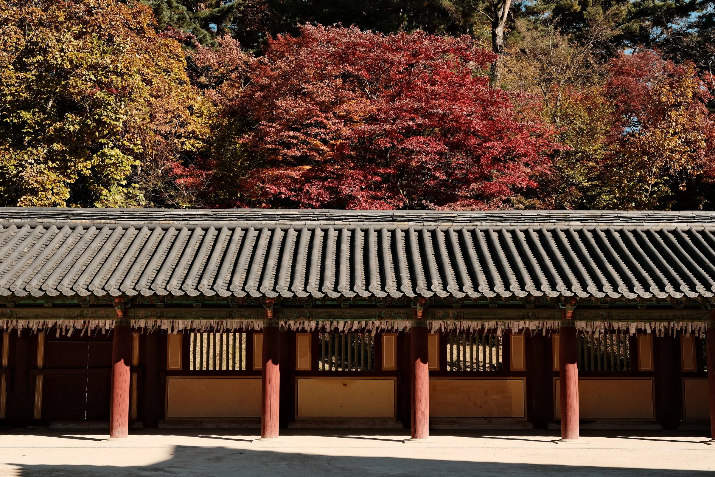 south-korea-2026, frame 190