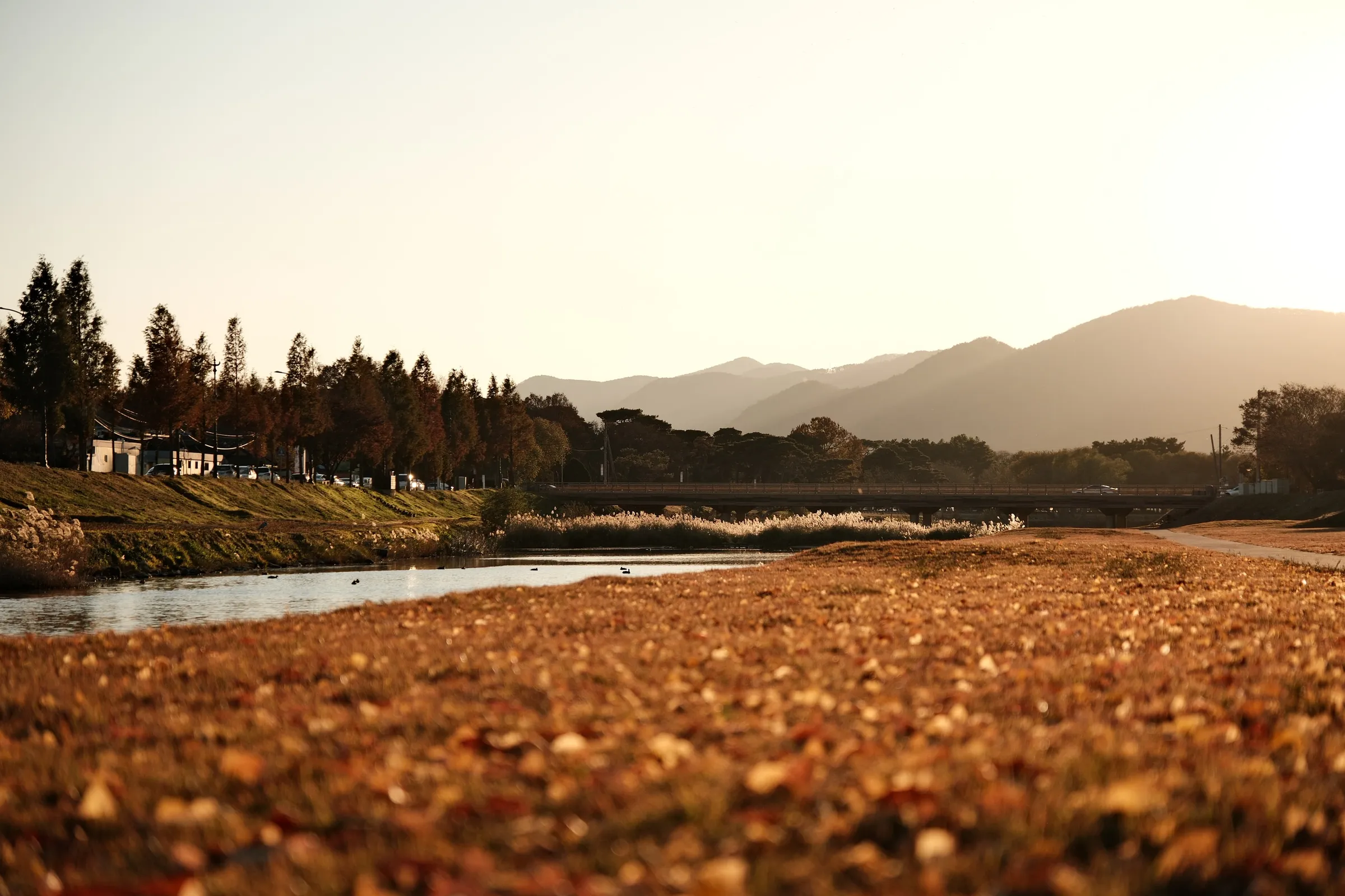 south-korea-2026, frame 194