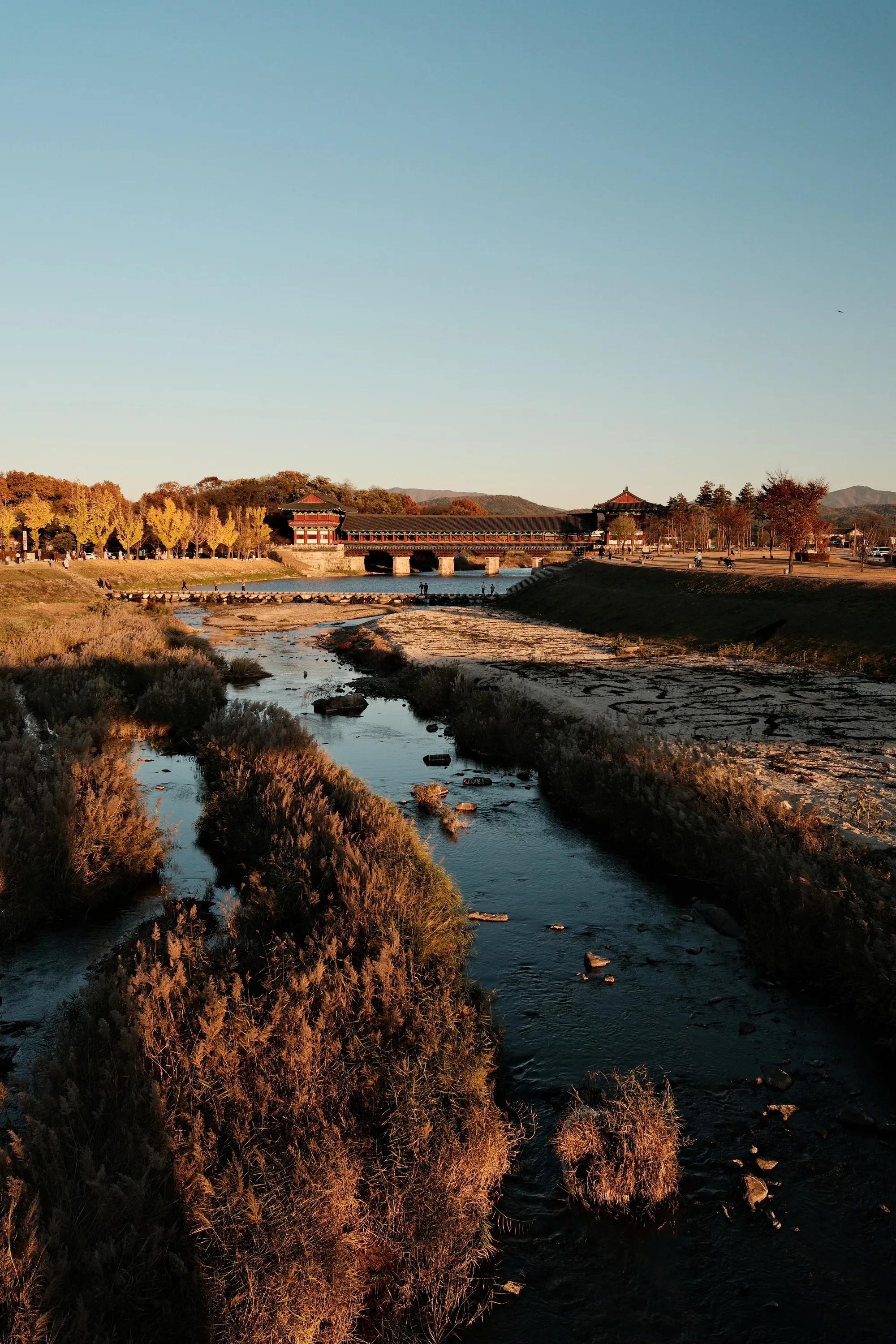south-korea-2026, frame 199
