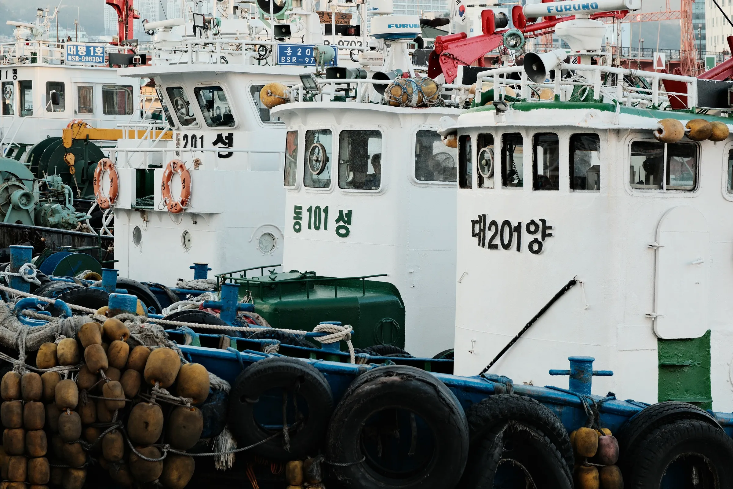 south-korea-2026, frame 86