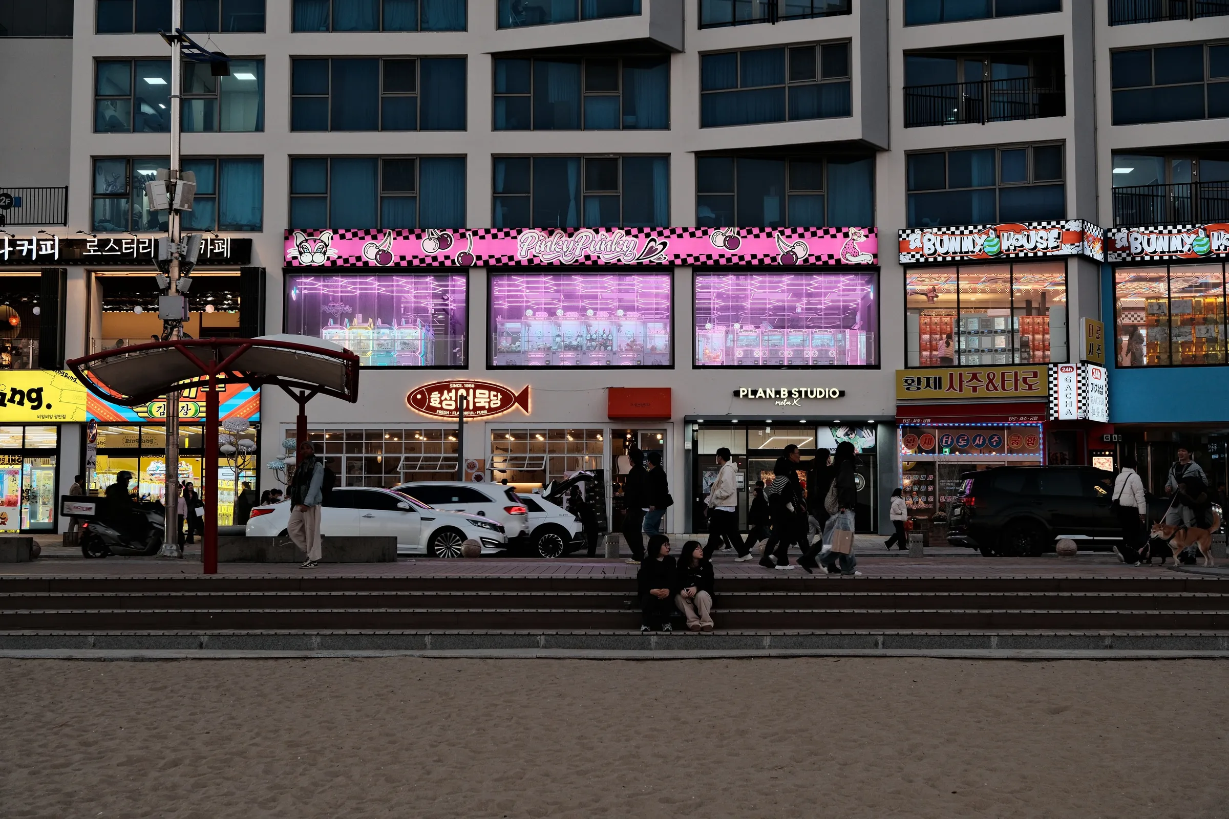 south-korea-2026, frame 71