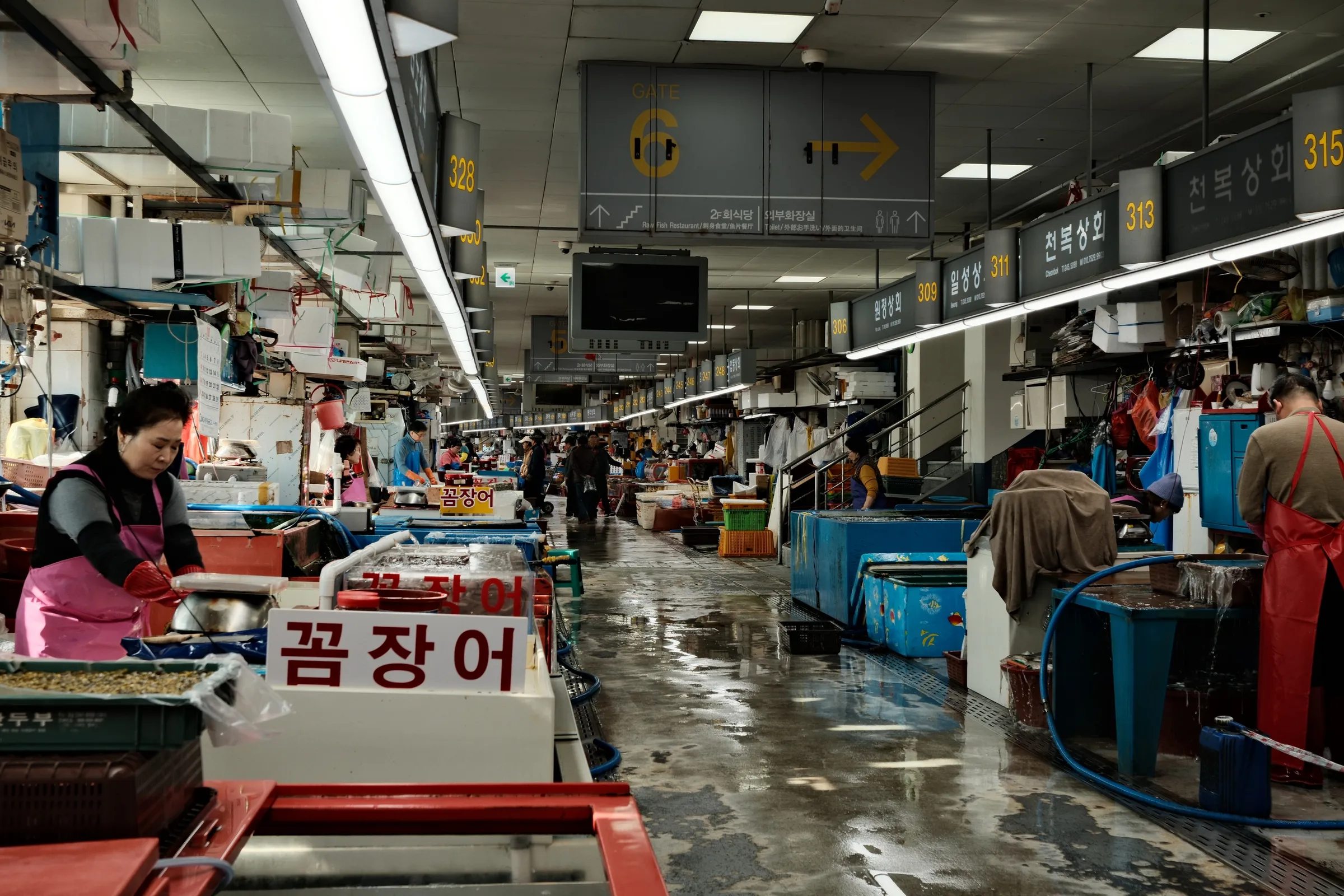 south-korea-2026, frame 93