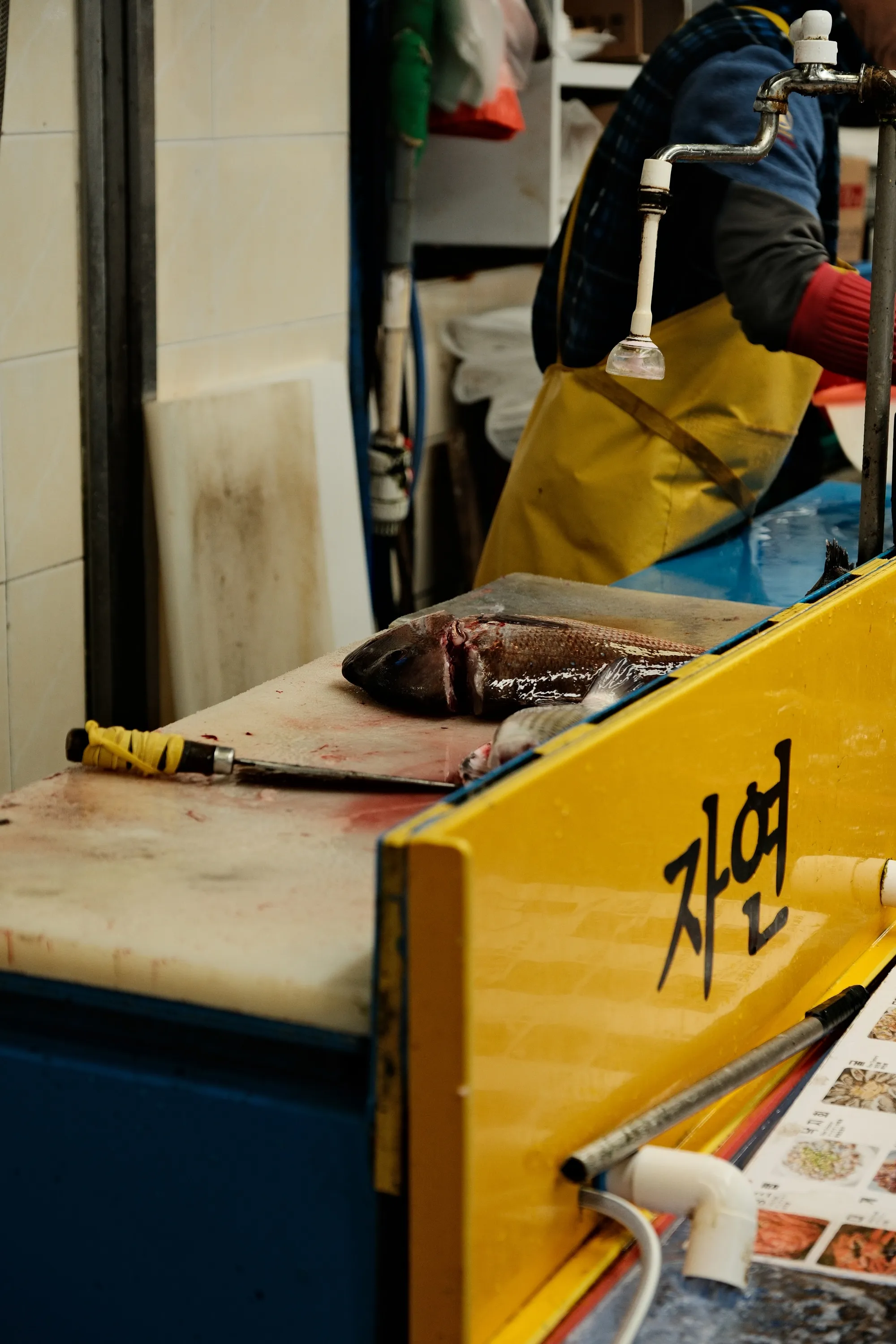 south-korea-2026, frame 95