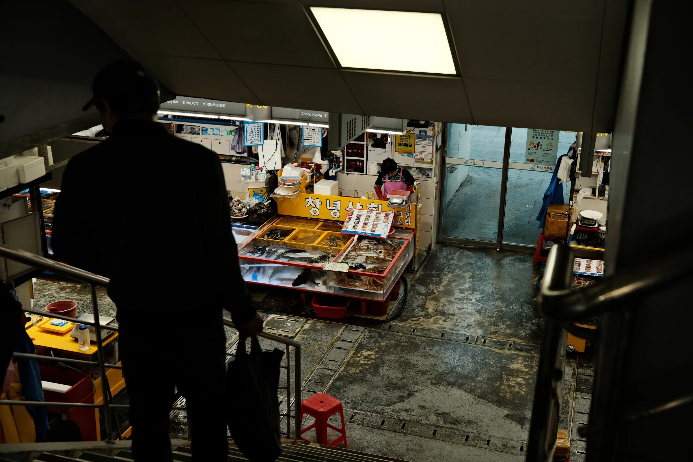 south-korea-2026, frame 96