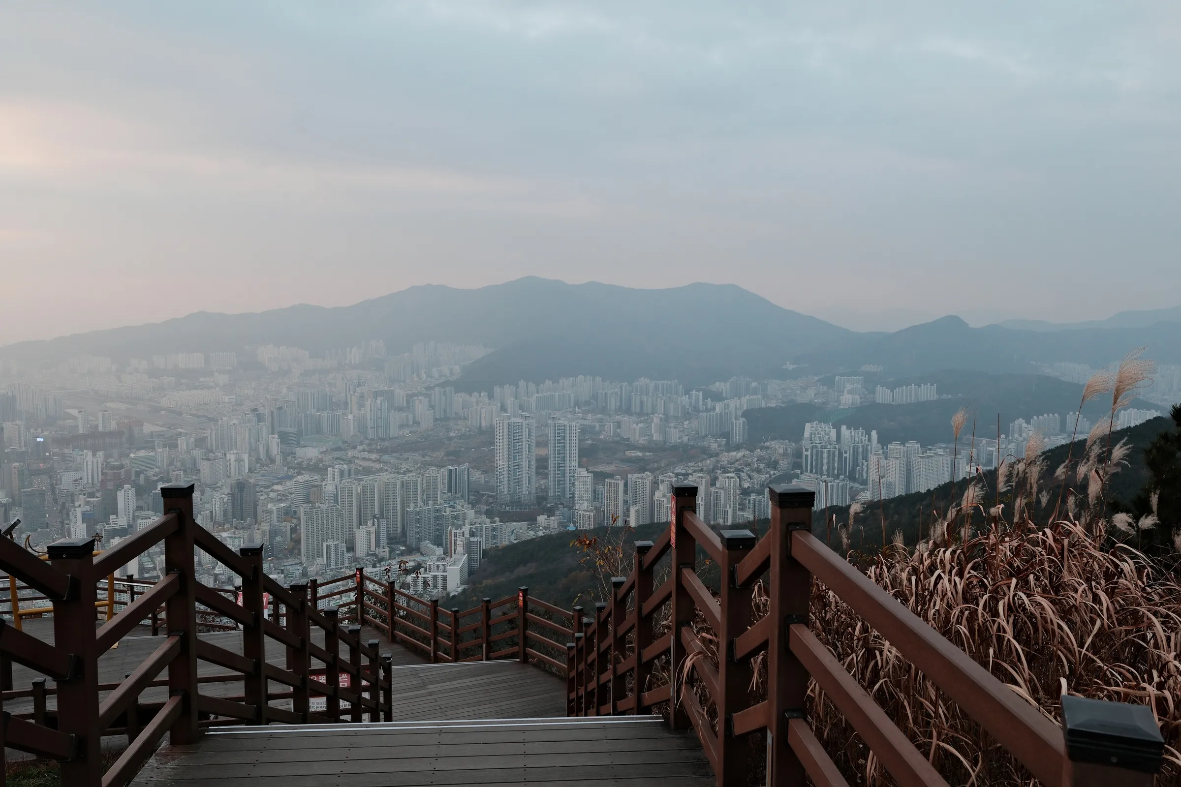 south-korea-2026, frame 108