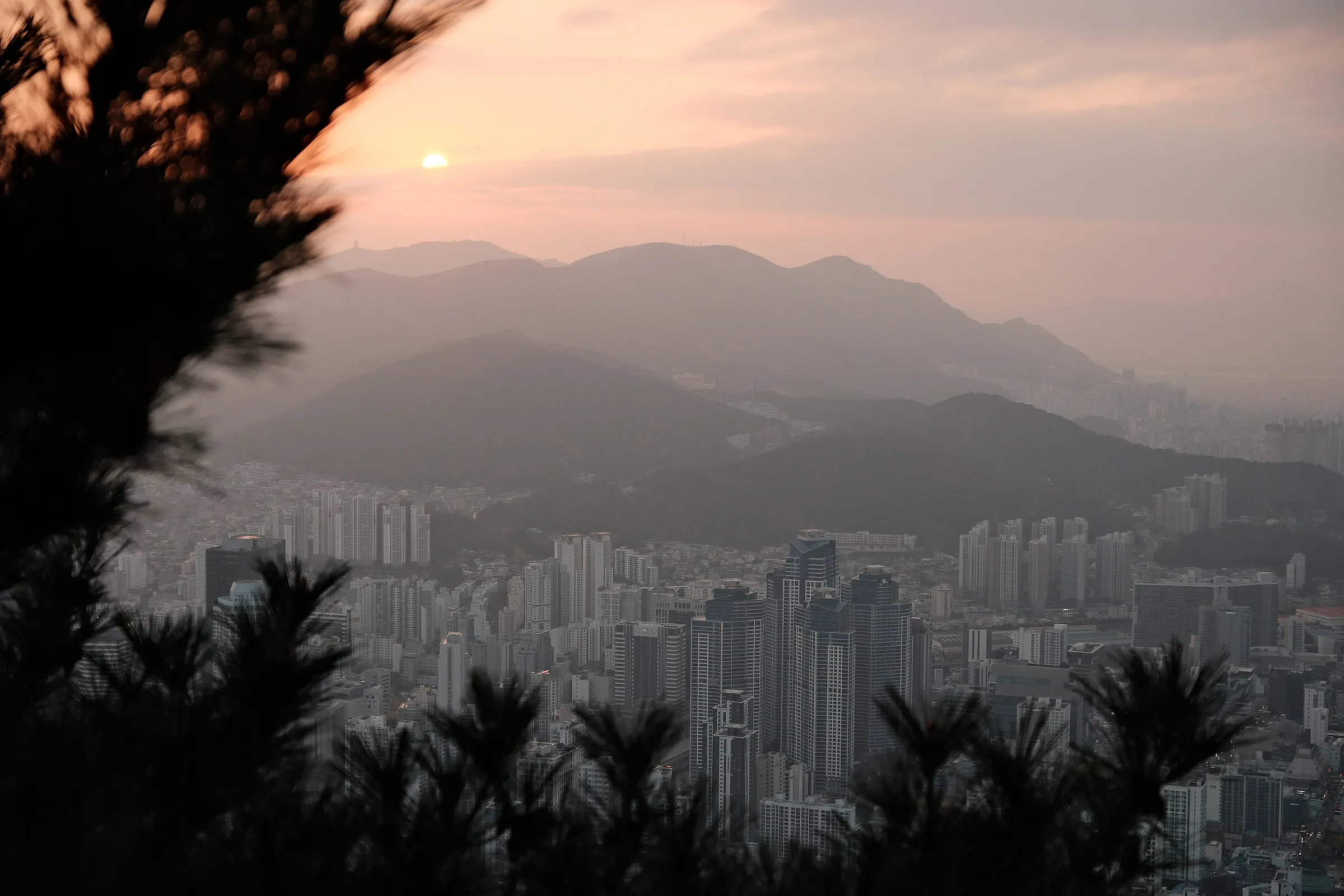 south-korea-2026, frame 111