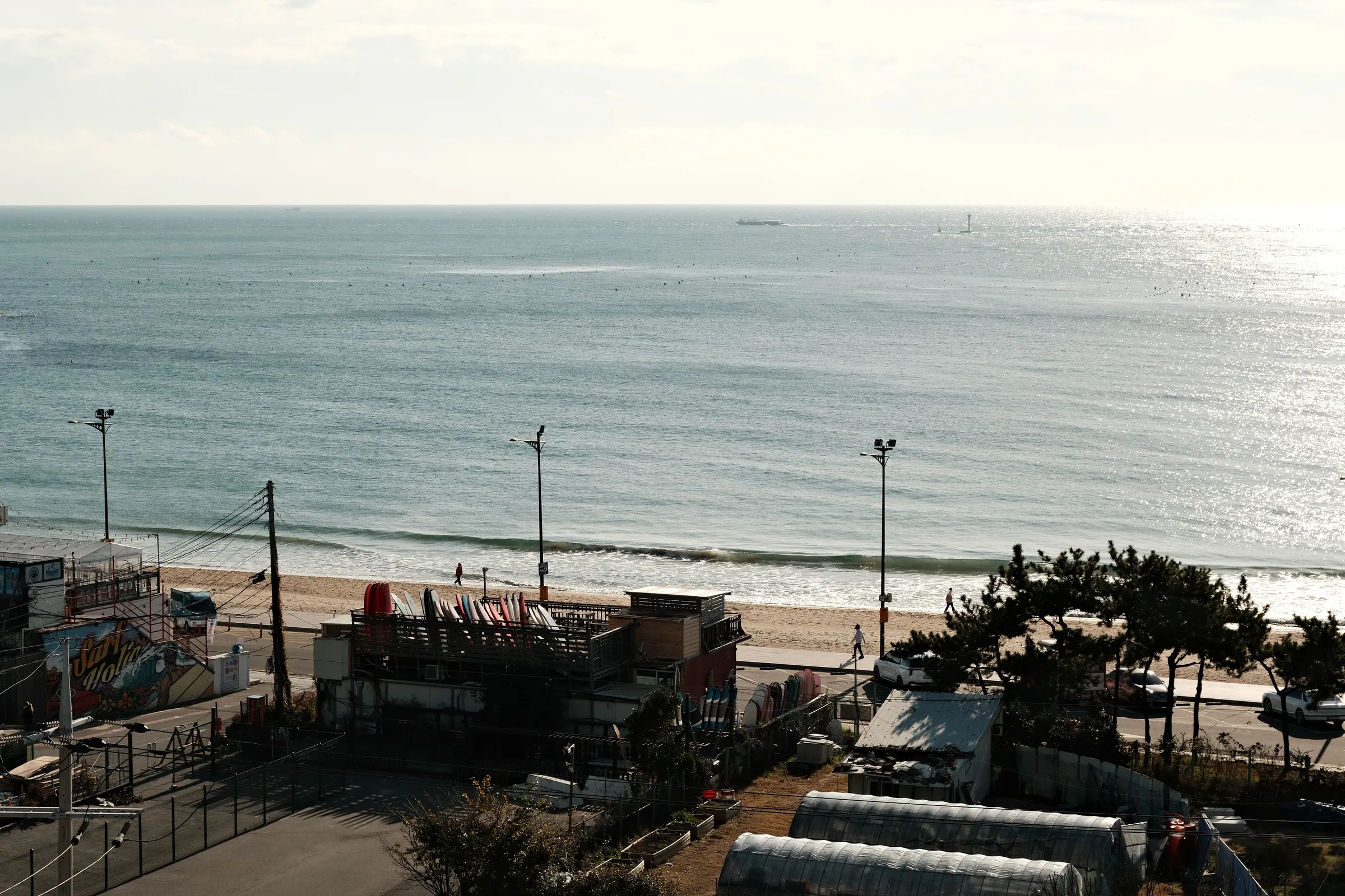 south-korea-2026, frame 113