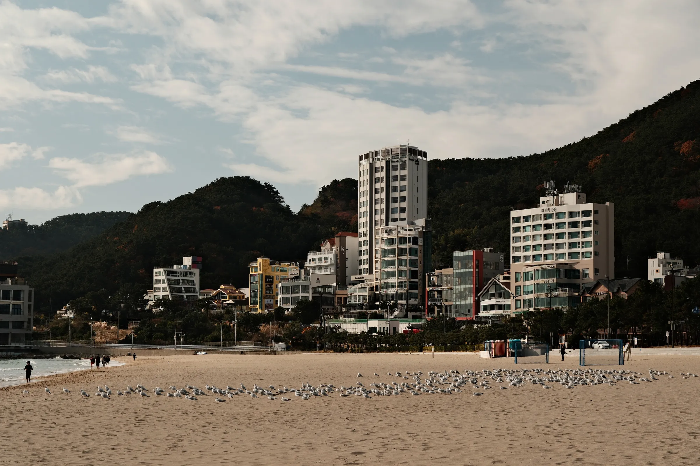 south-korea-2026, frame 116