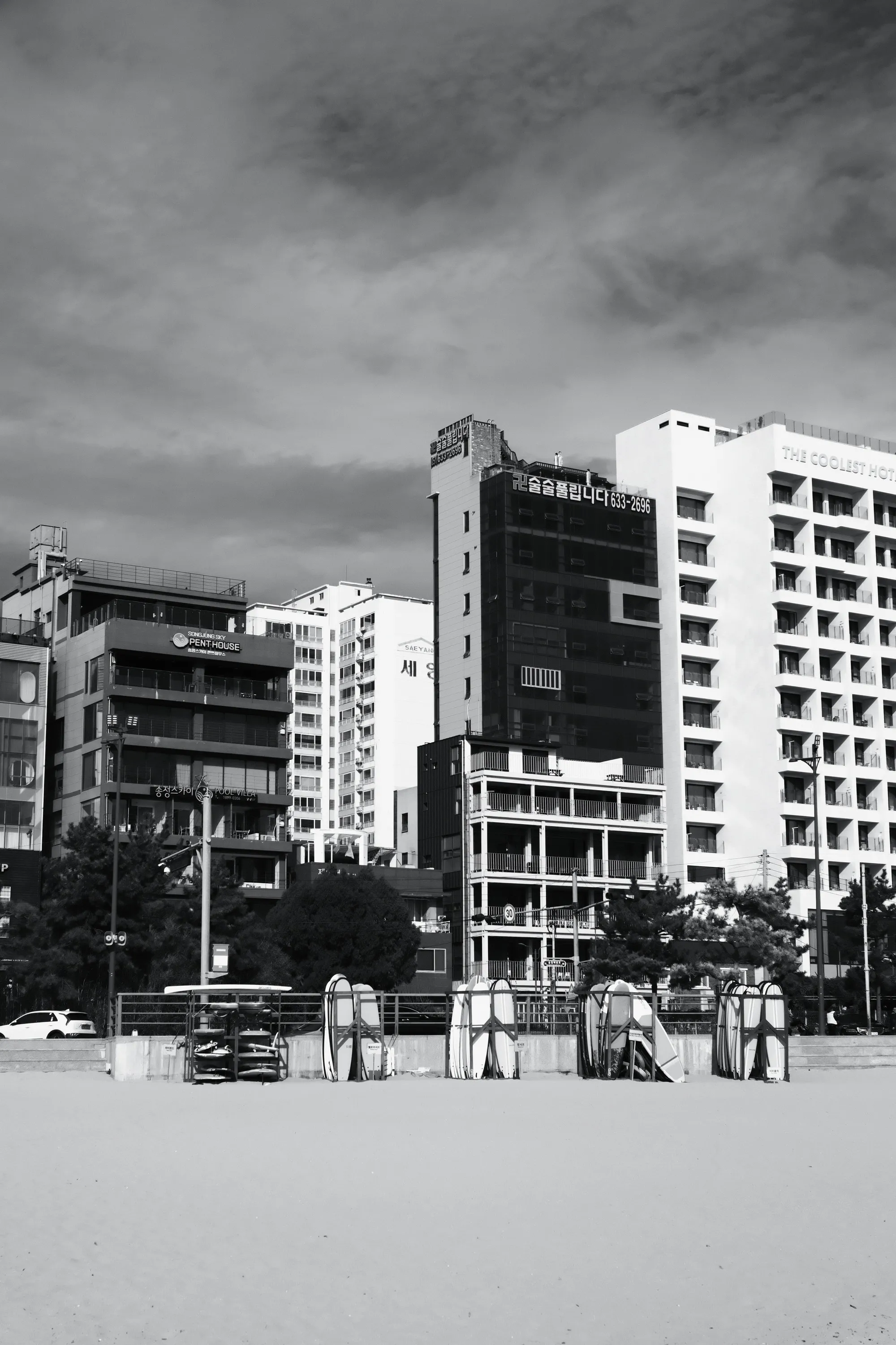 south-korea-2026, frame 119