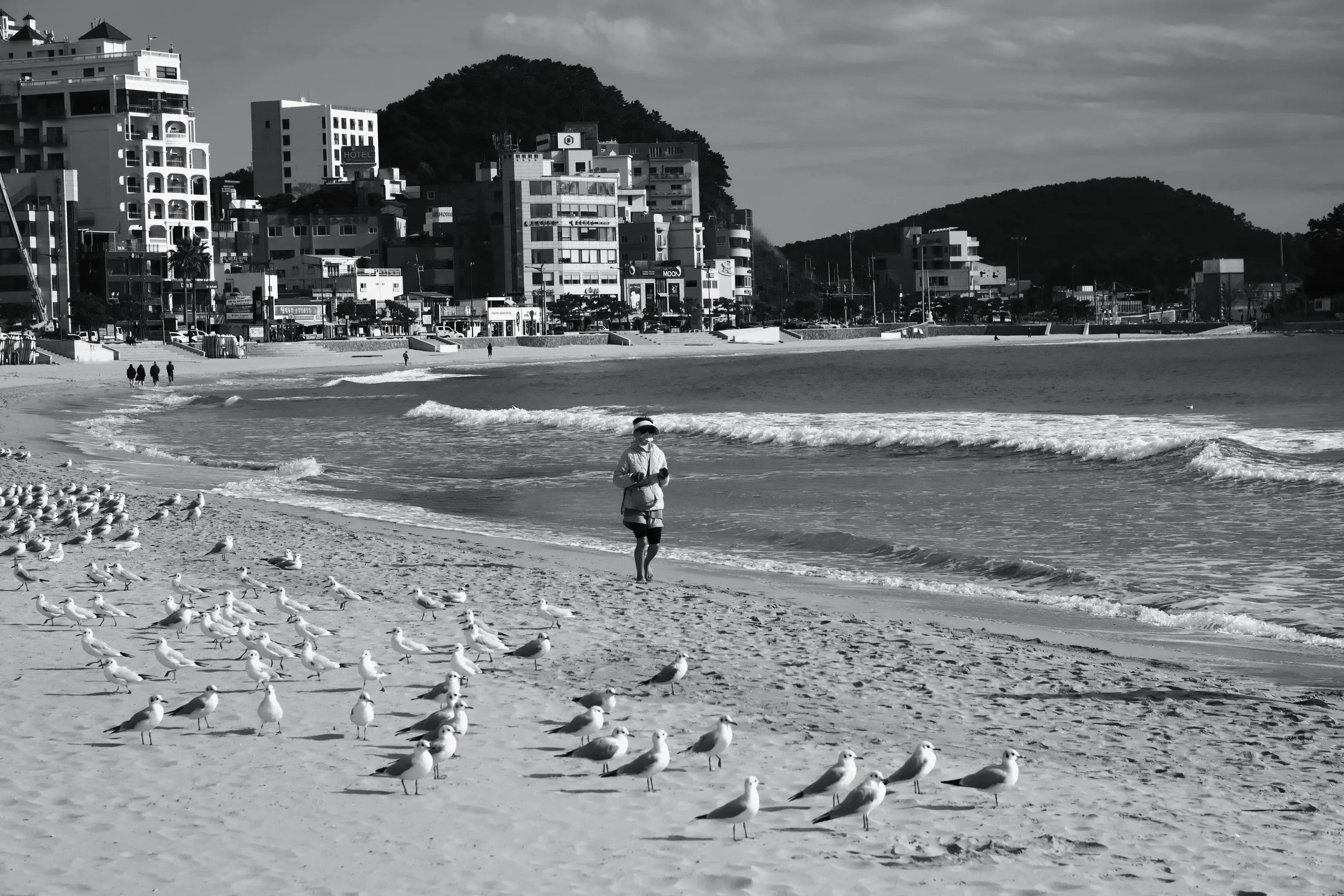 south-korea-2026, frame 120