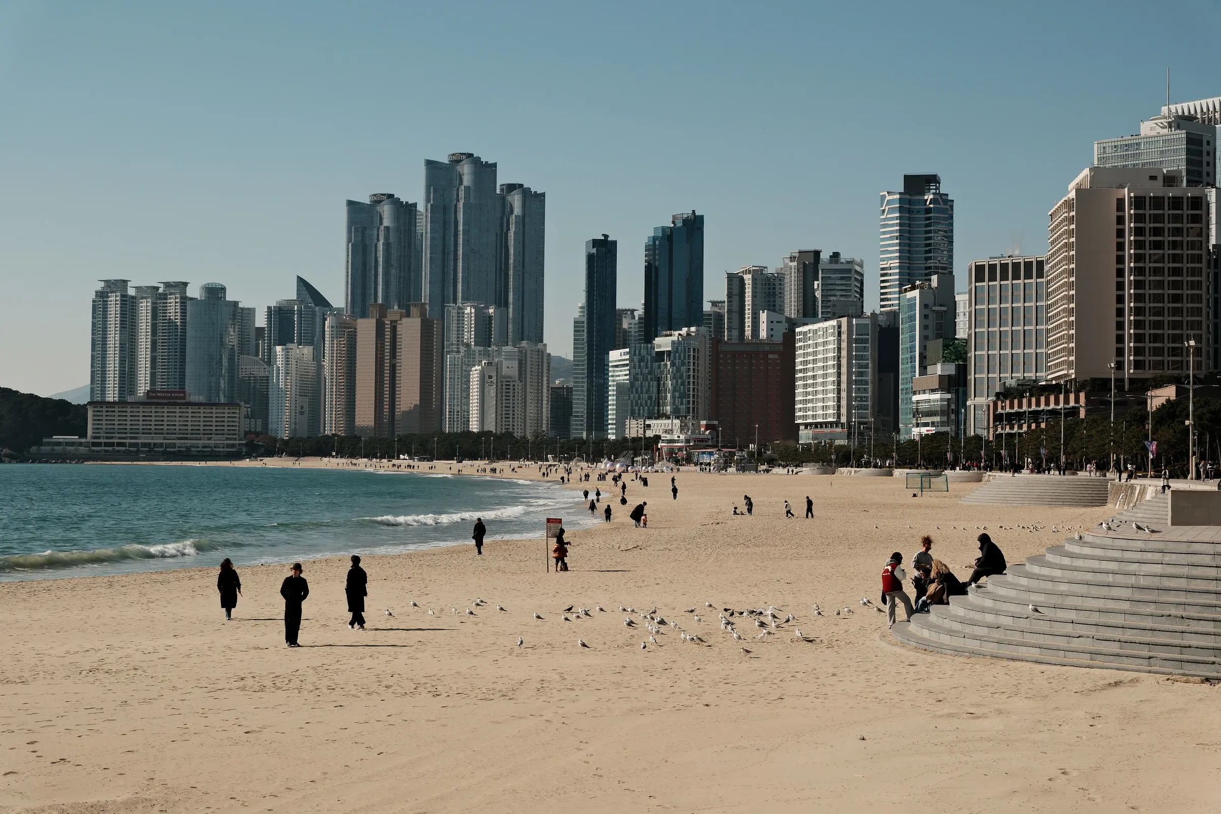 south-korea-2026, frame 123