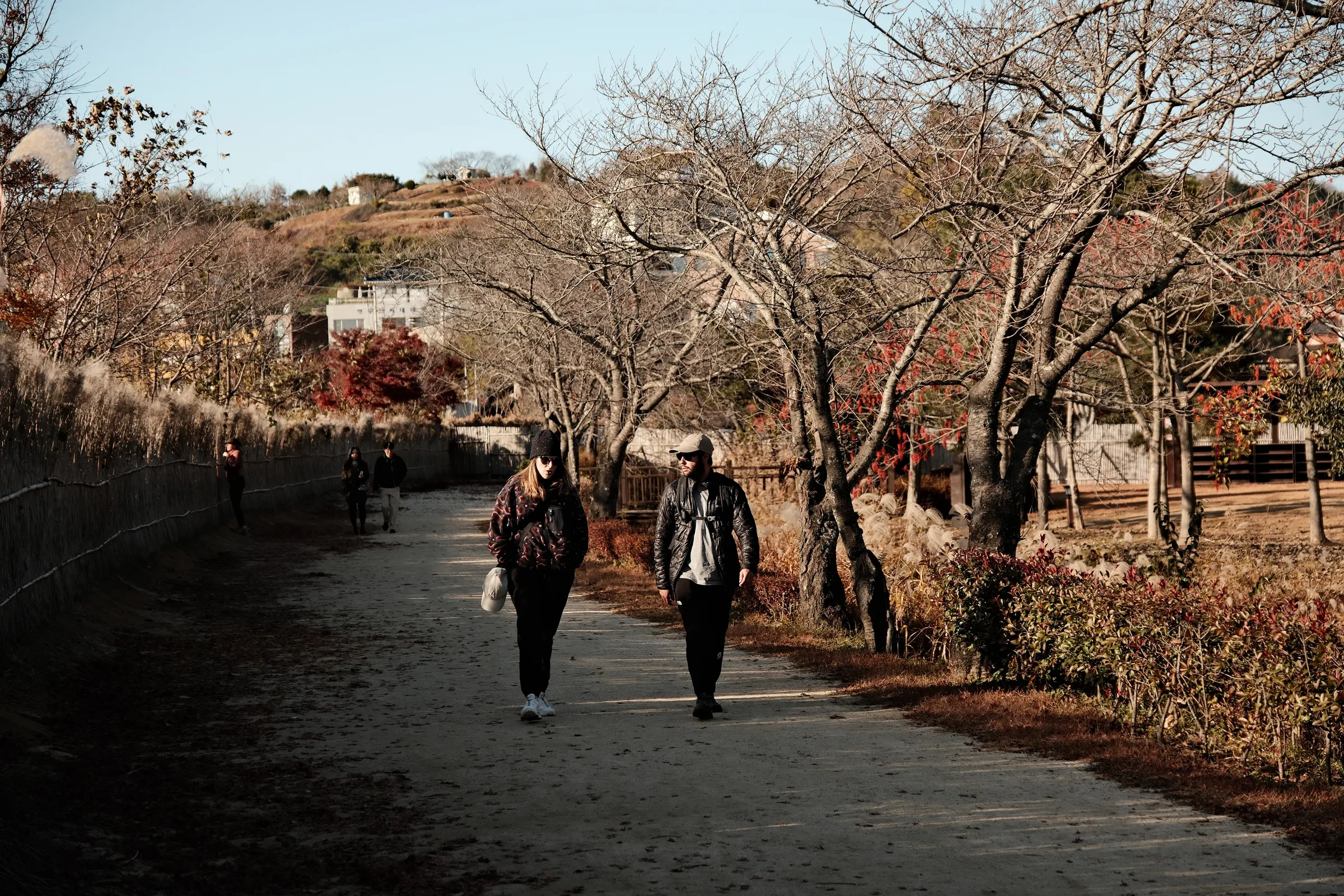 south-korea-2026, frame 152