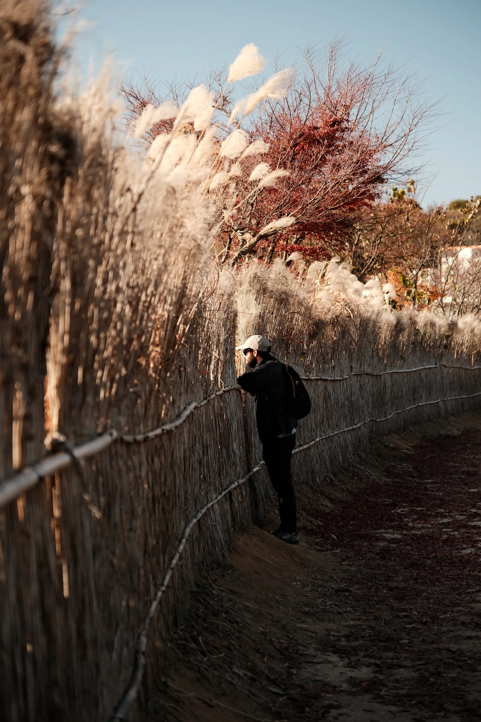south-korea-2026, frame 153