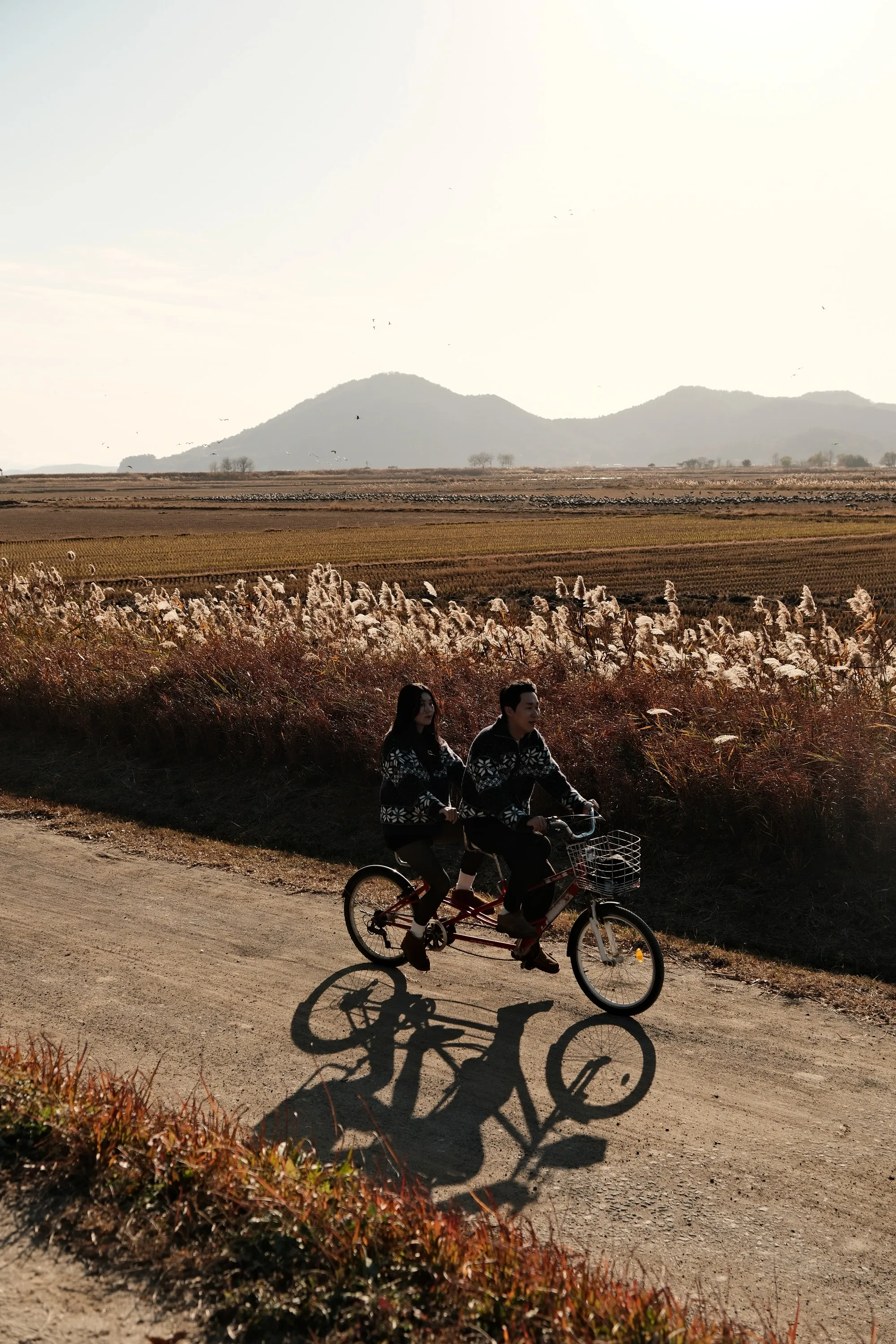 south-korea-2026, frame 154