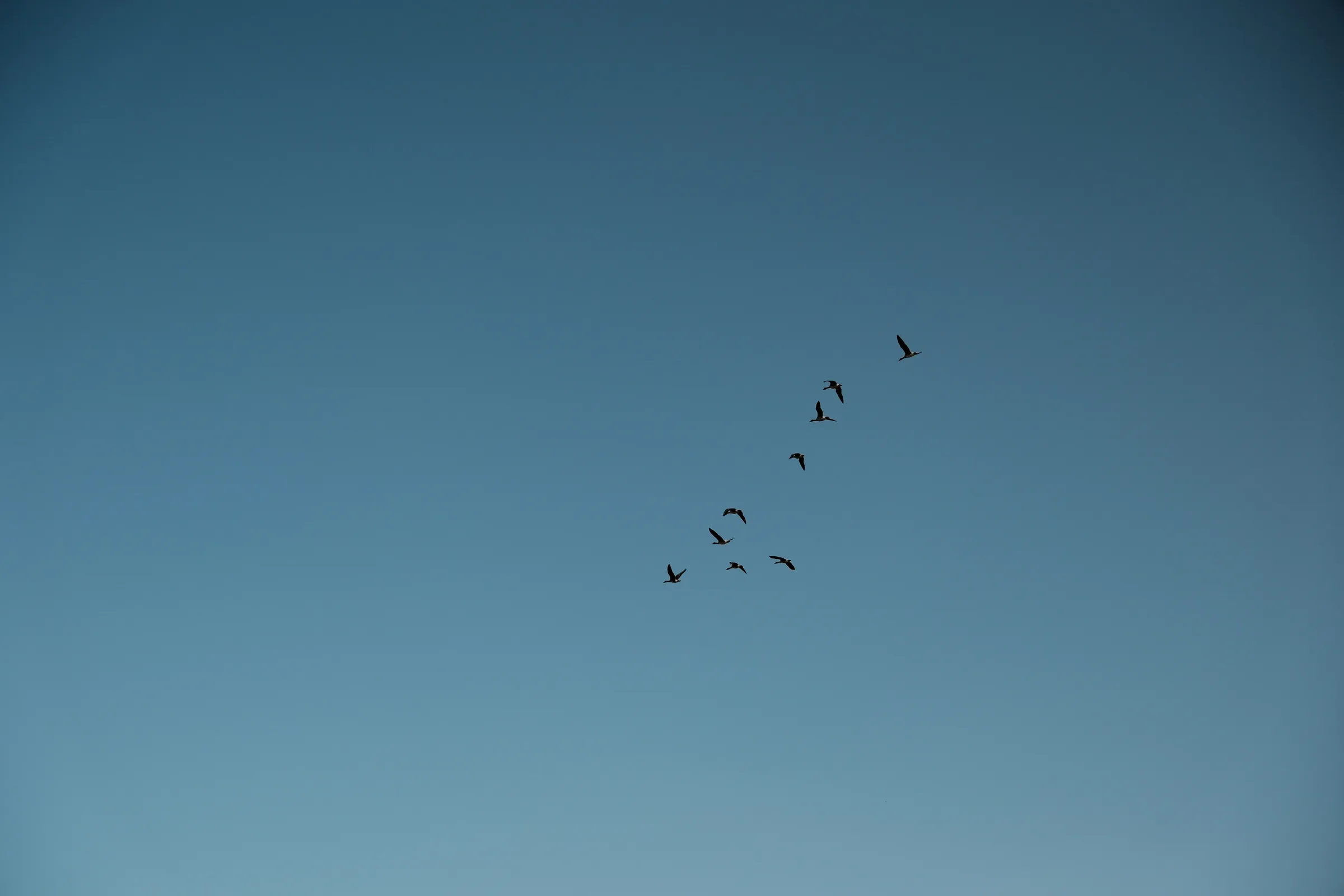 south-korea-2026, frame 156