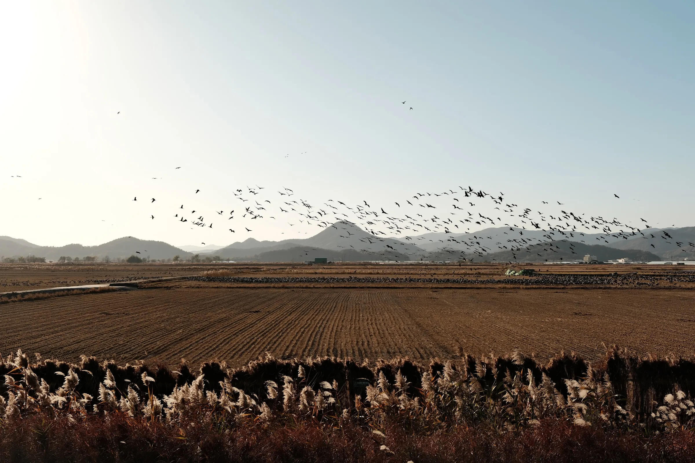 south-korea-2026, frame 158