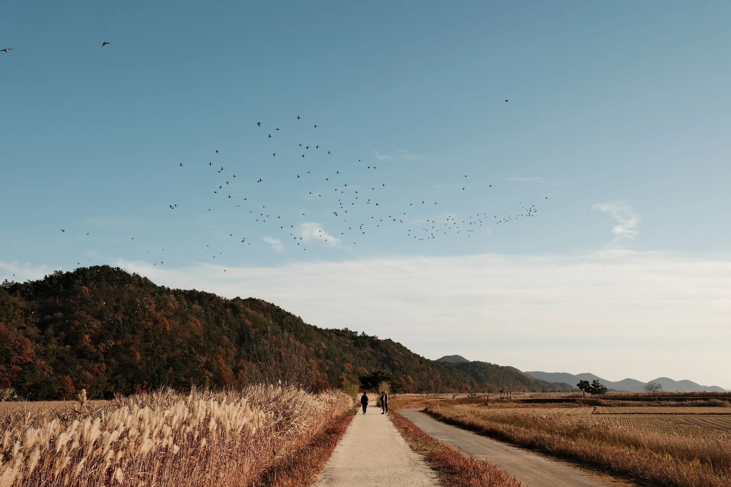 south-korea-2026, frame 157