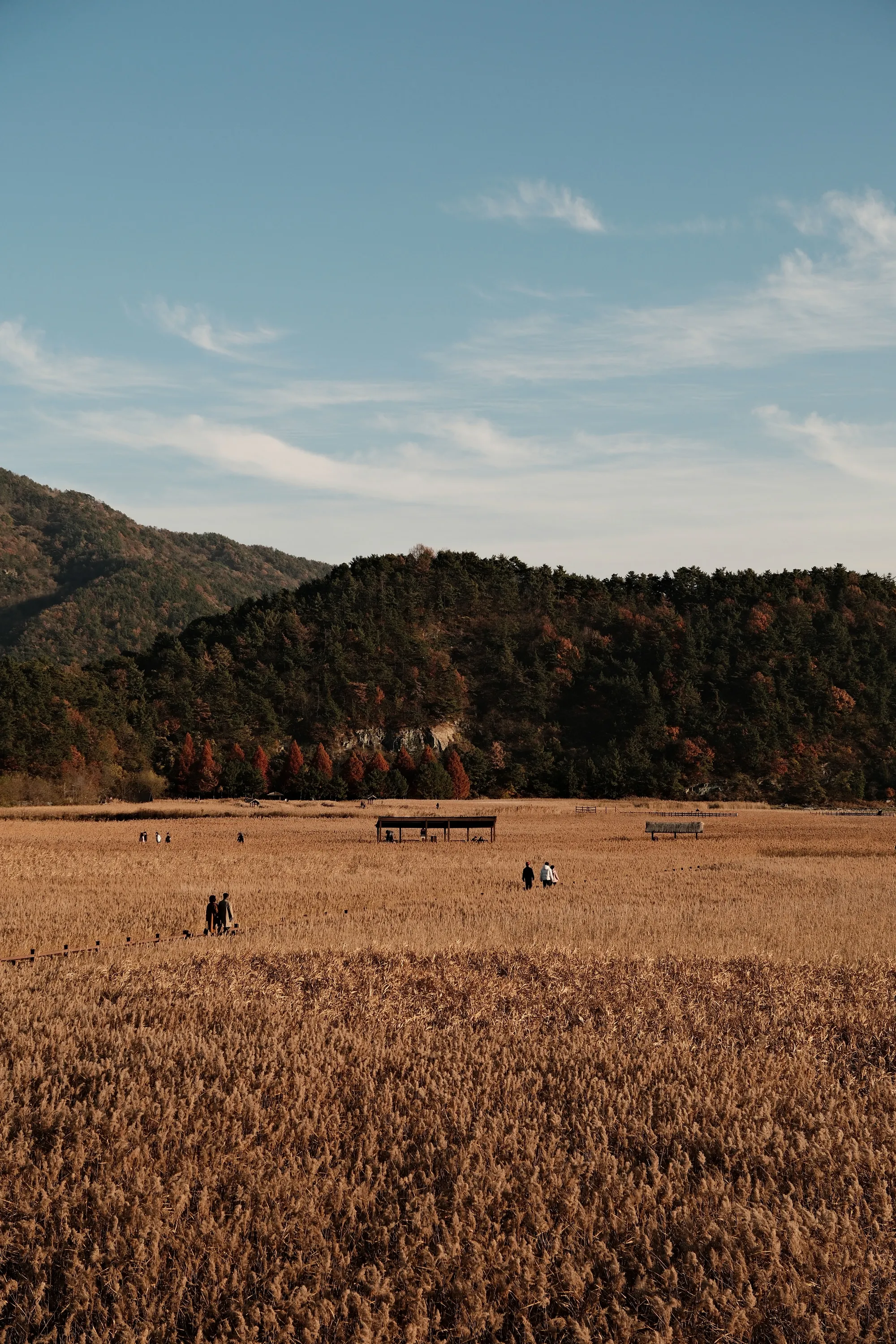 south-korea-2026, frame 162