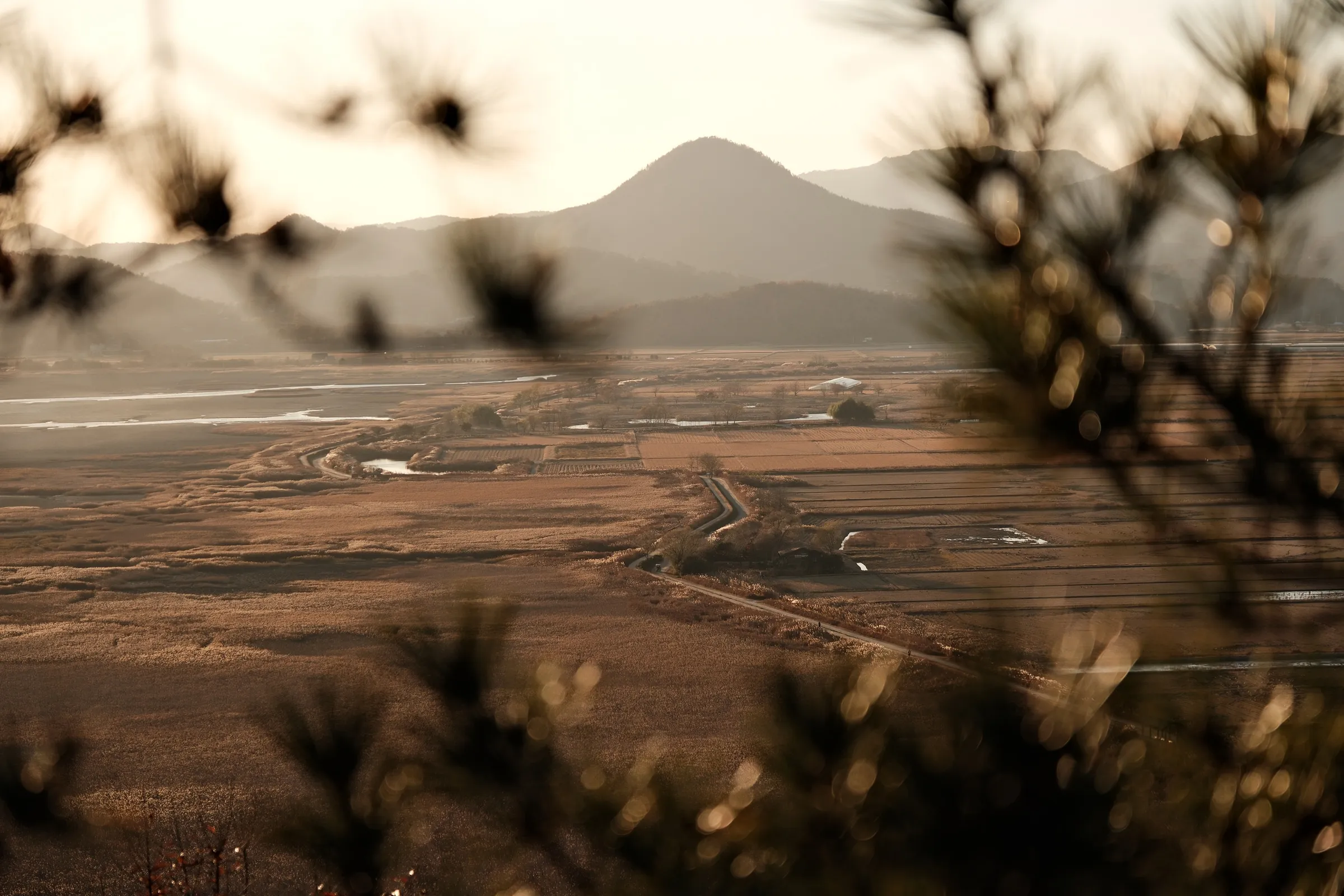 south-korea-2026, frame 166