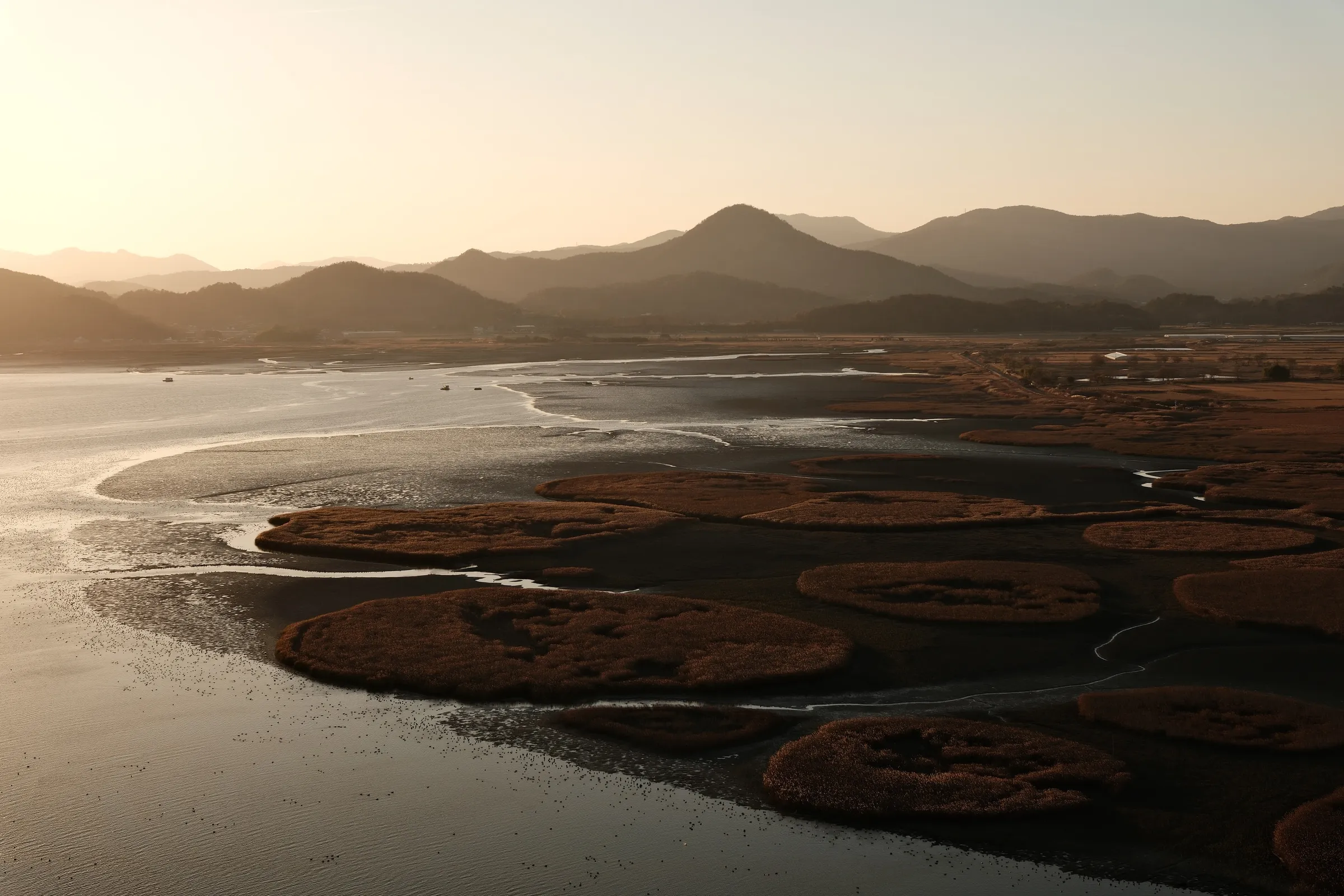 south-korea-2026, frame 168