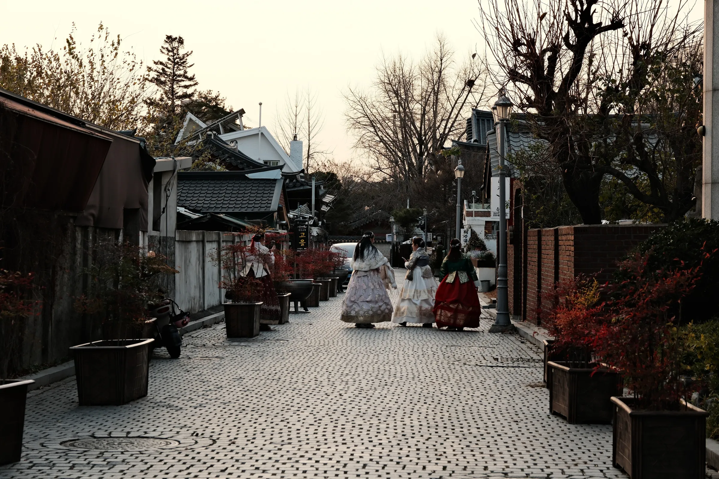 south-korea-2026, frame 131