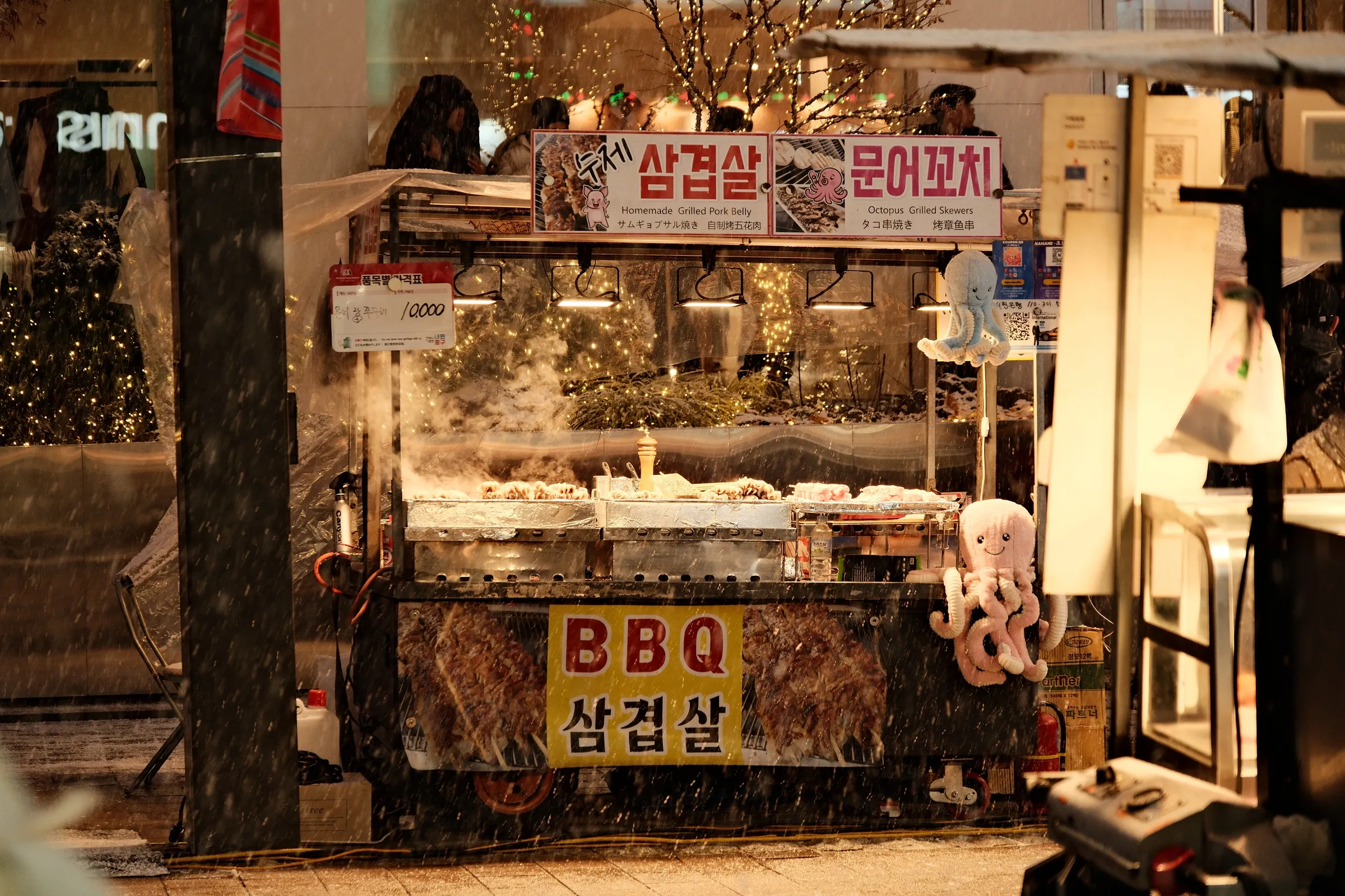south-korea-2026, frame 34