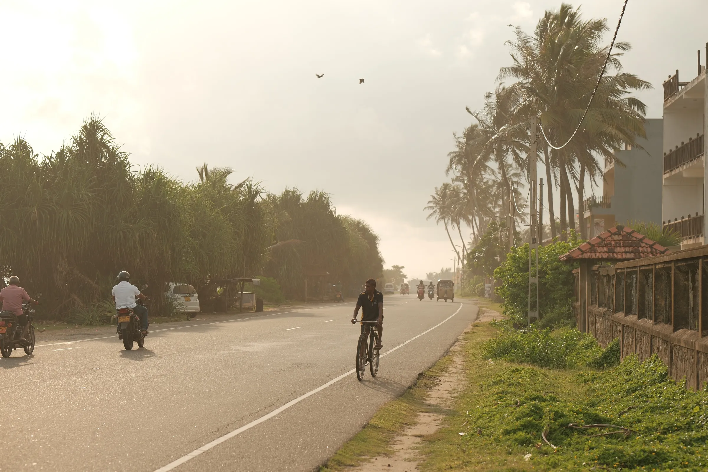 sri-lanka-2025, frame 1