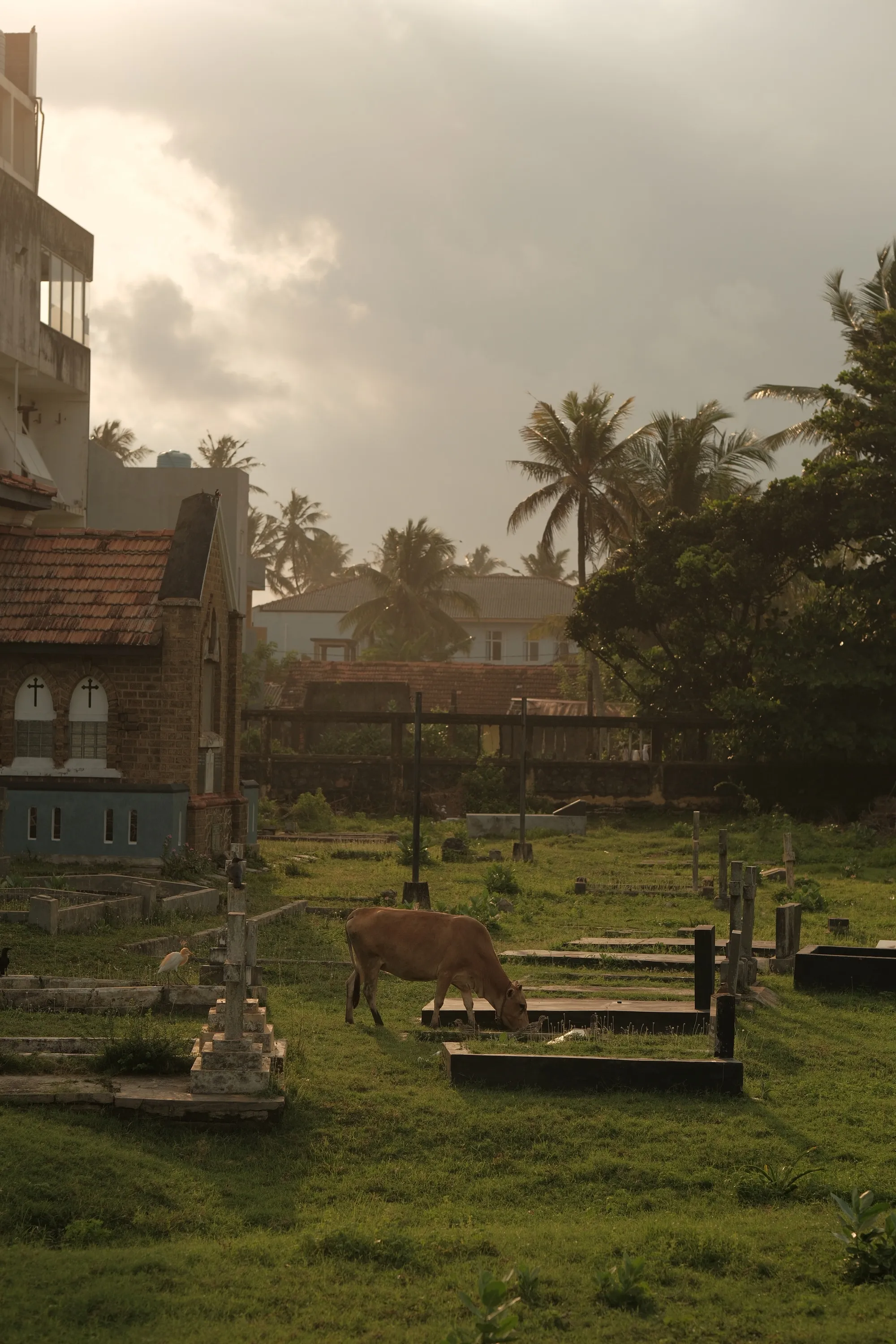 sri-lanka-2025, frame 2