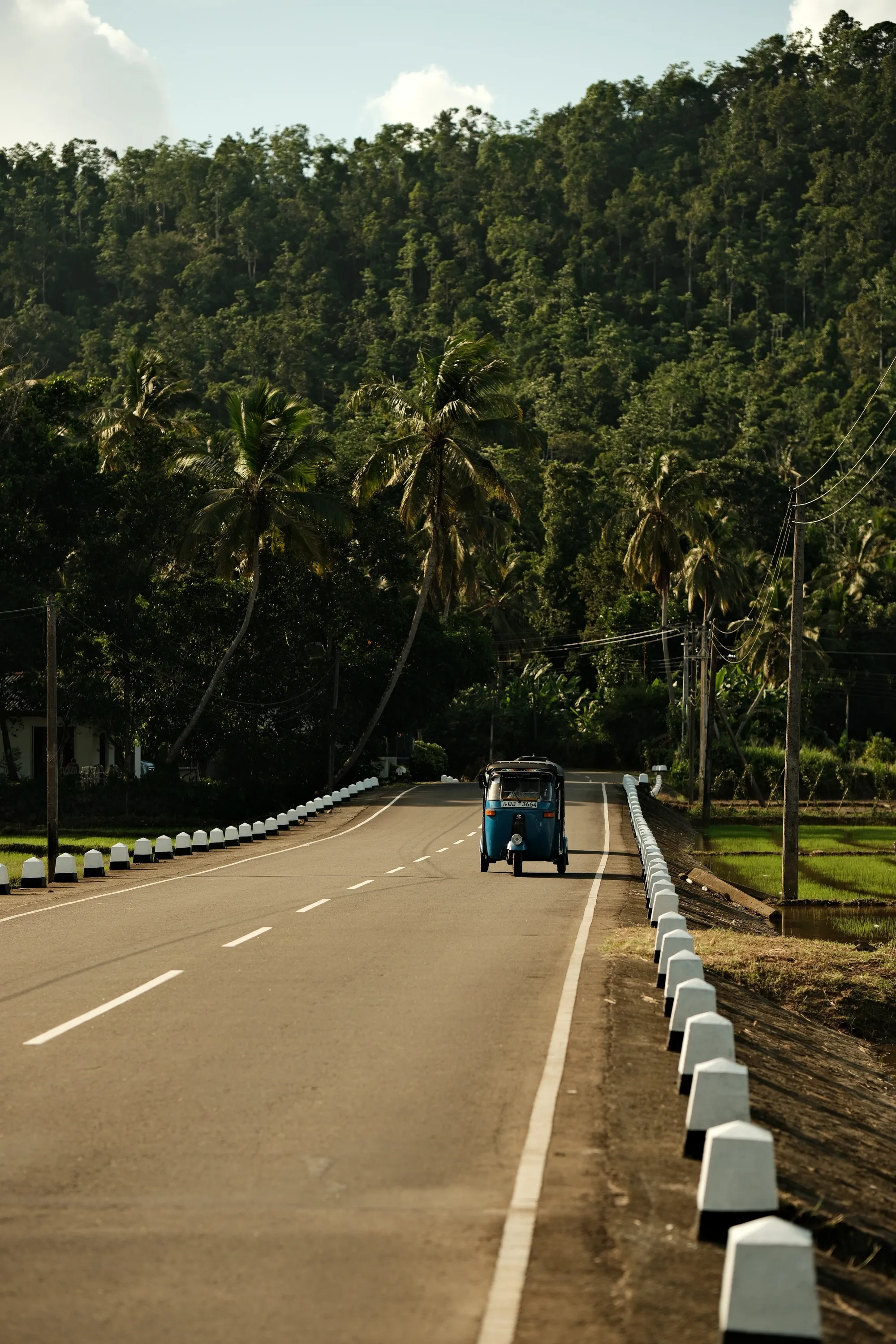 sri-lanka-2025, frame 13