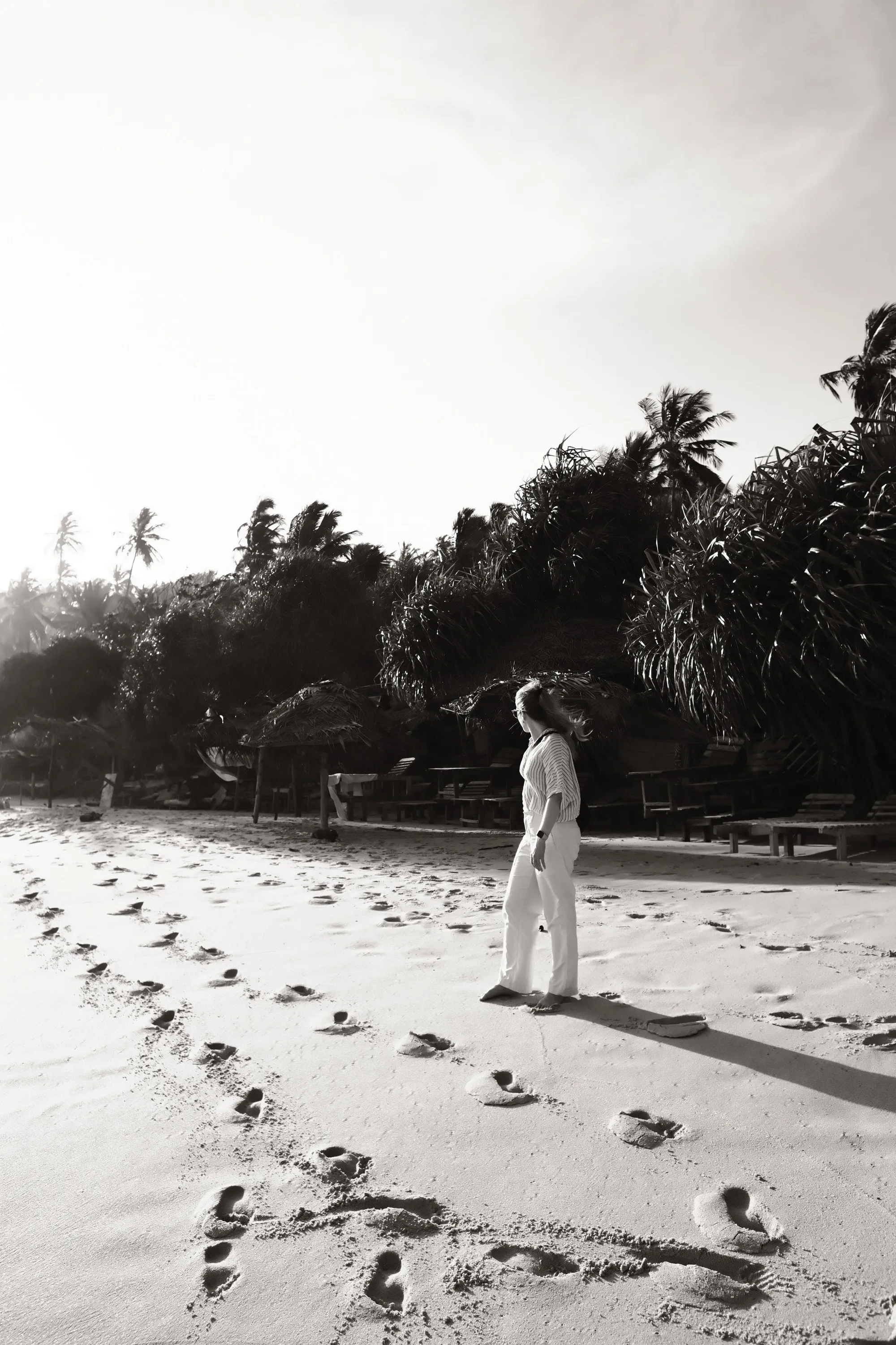 sri-lanka-2025, frame 48