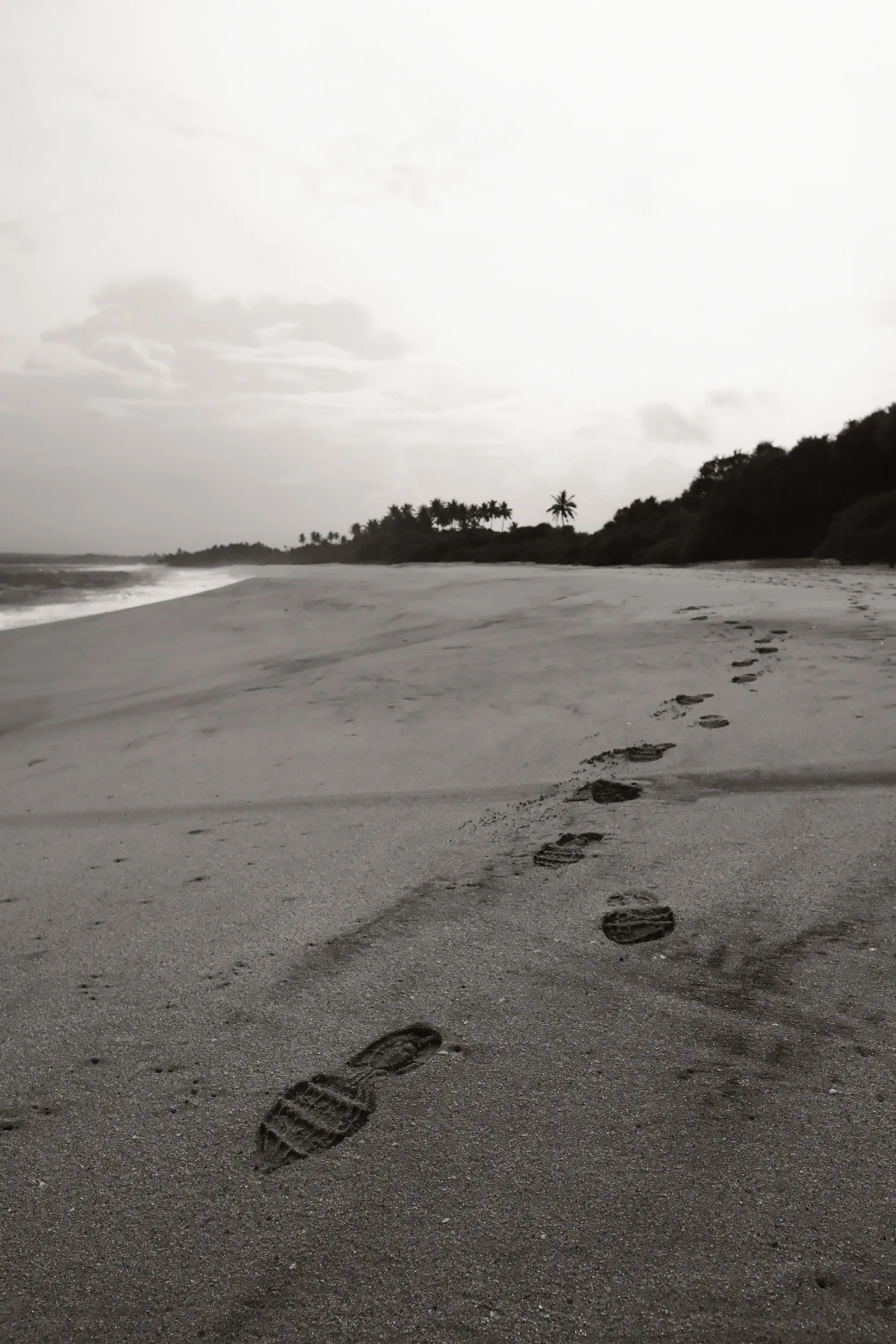 sri-lanka-2025, frame 49