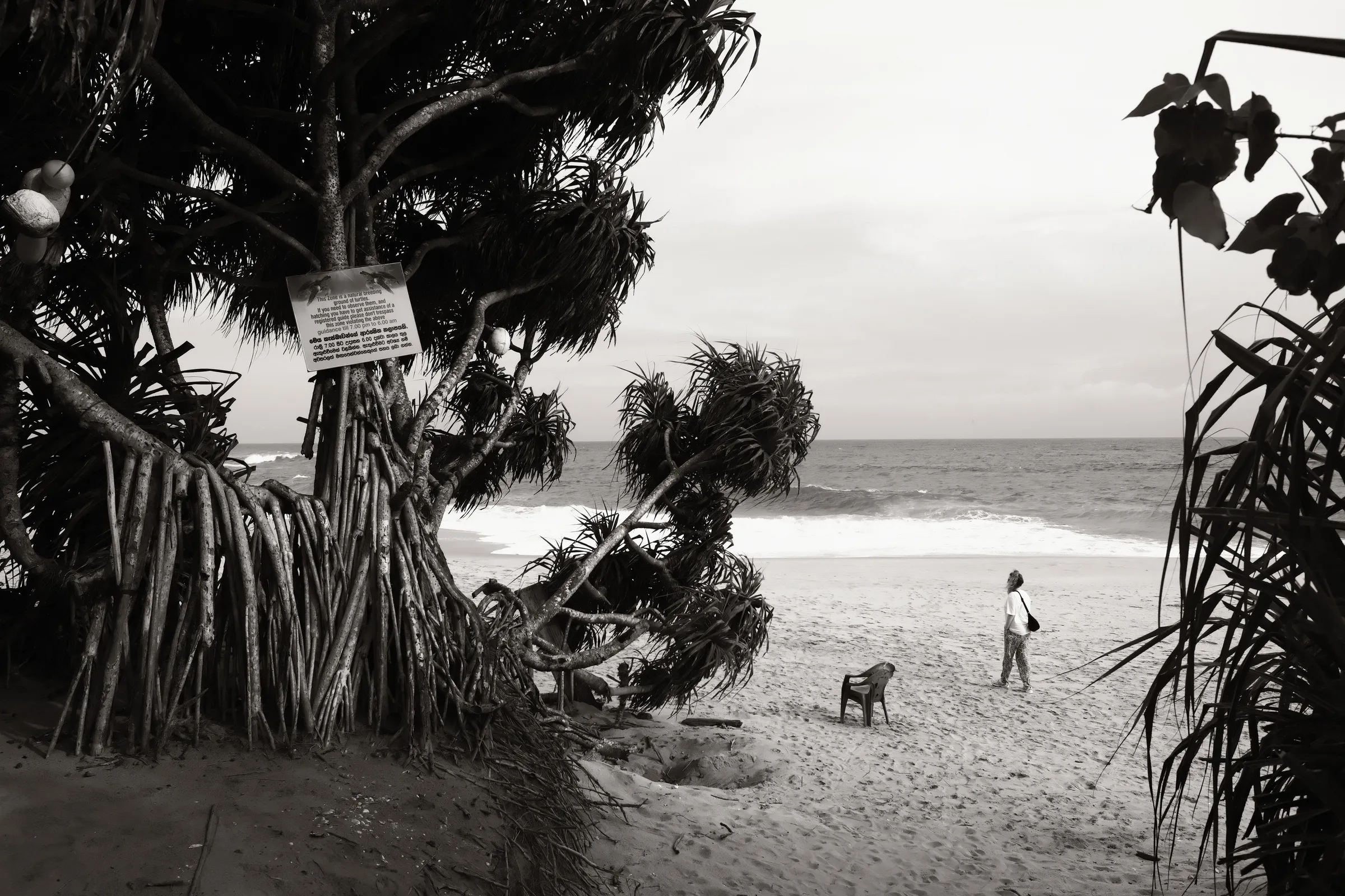 sri-lanka-2025, frame 50