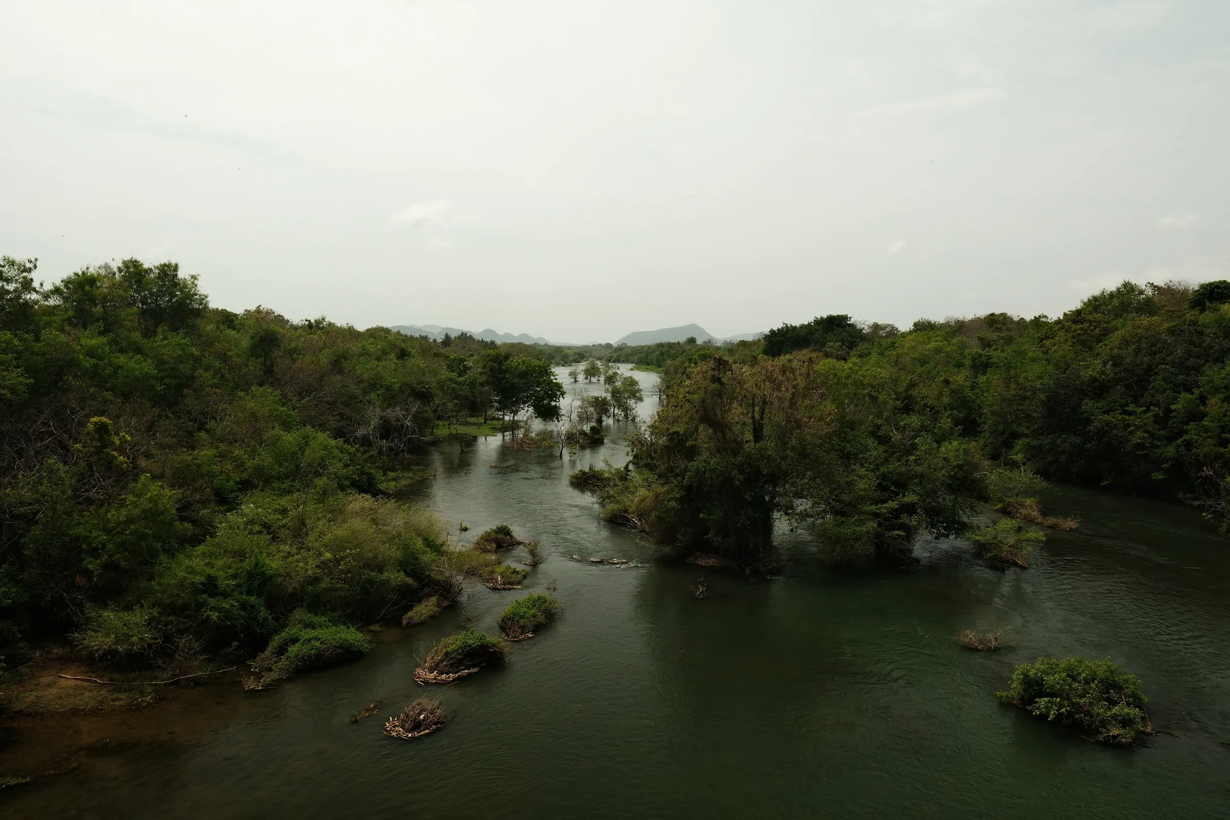 sri-lanka-2025, frame 80