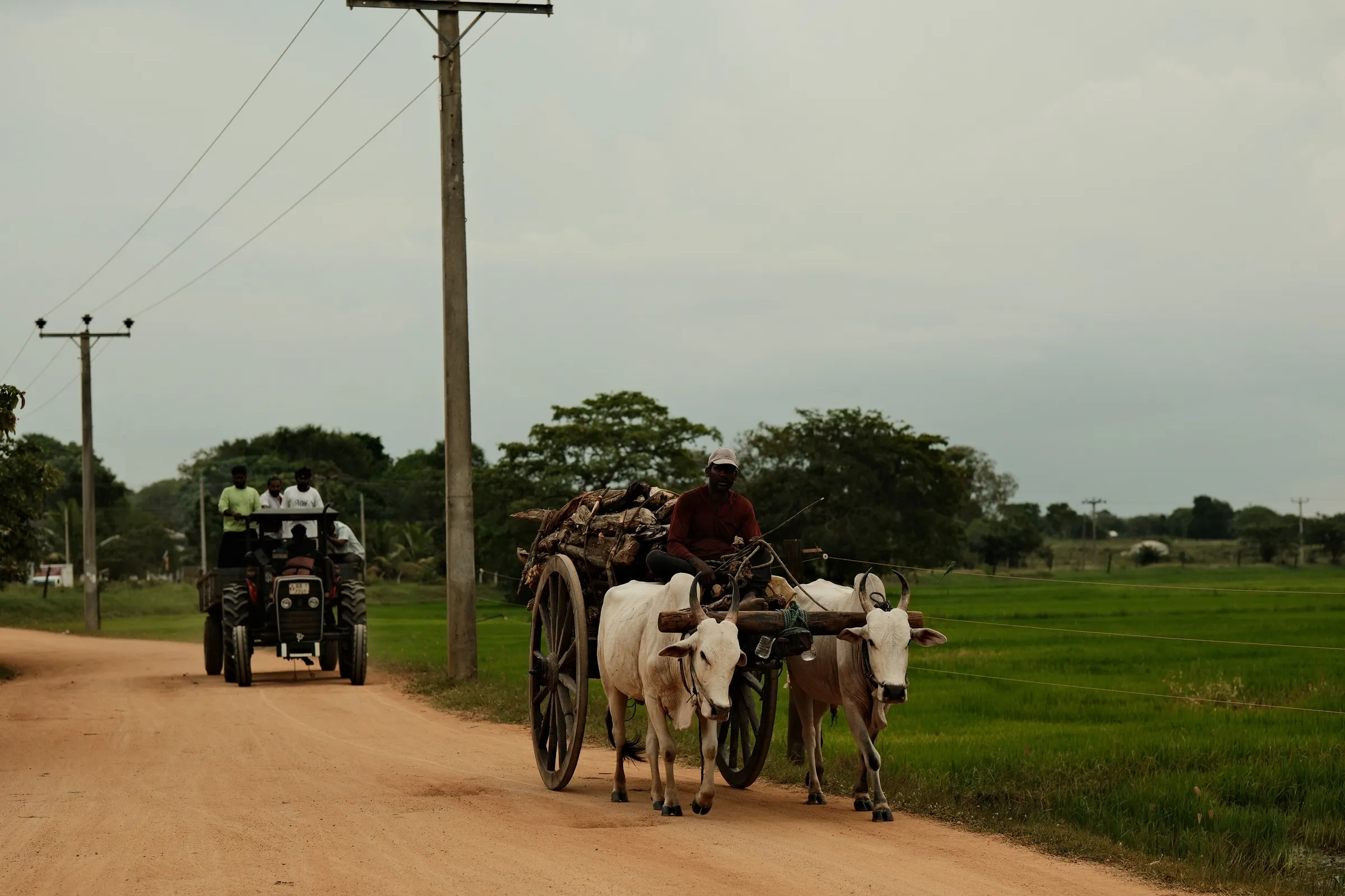 sri-lanka-2025, frame 18
