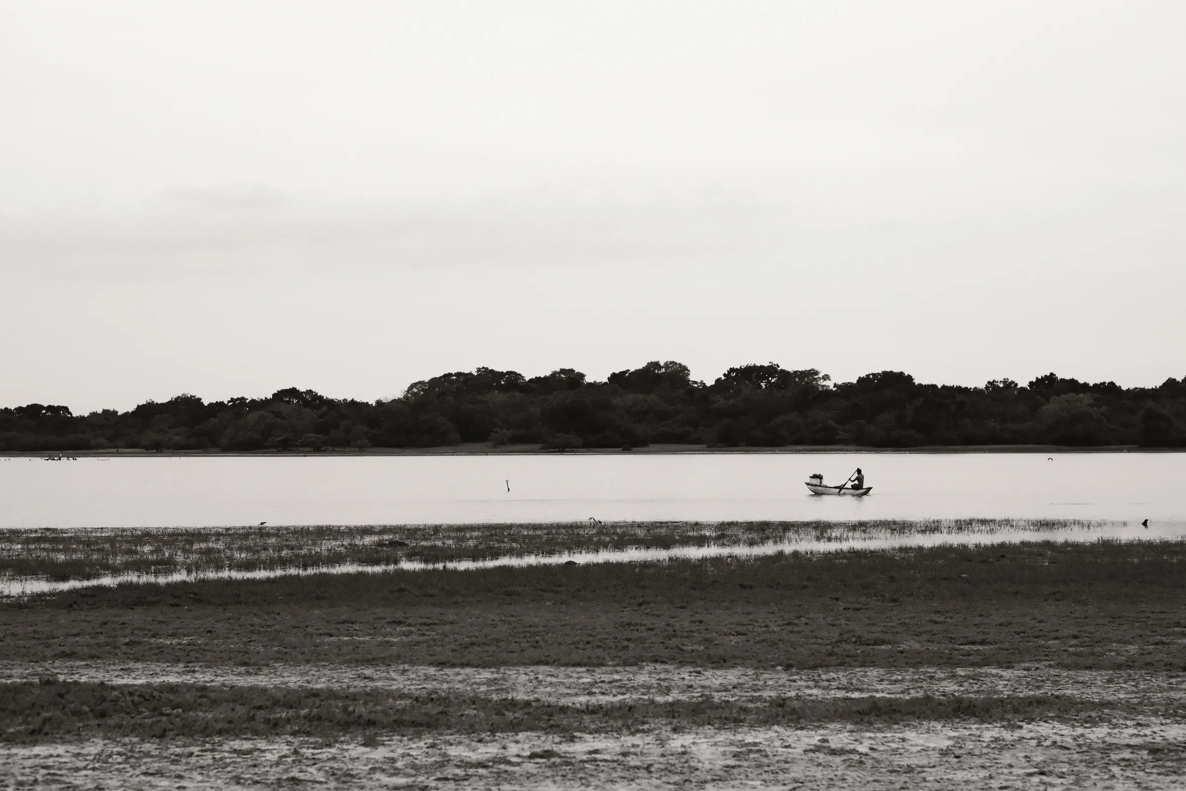 sri-lanka-2025, frame 81